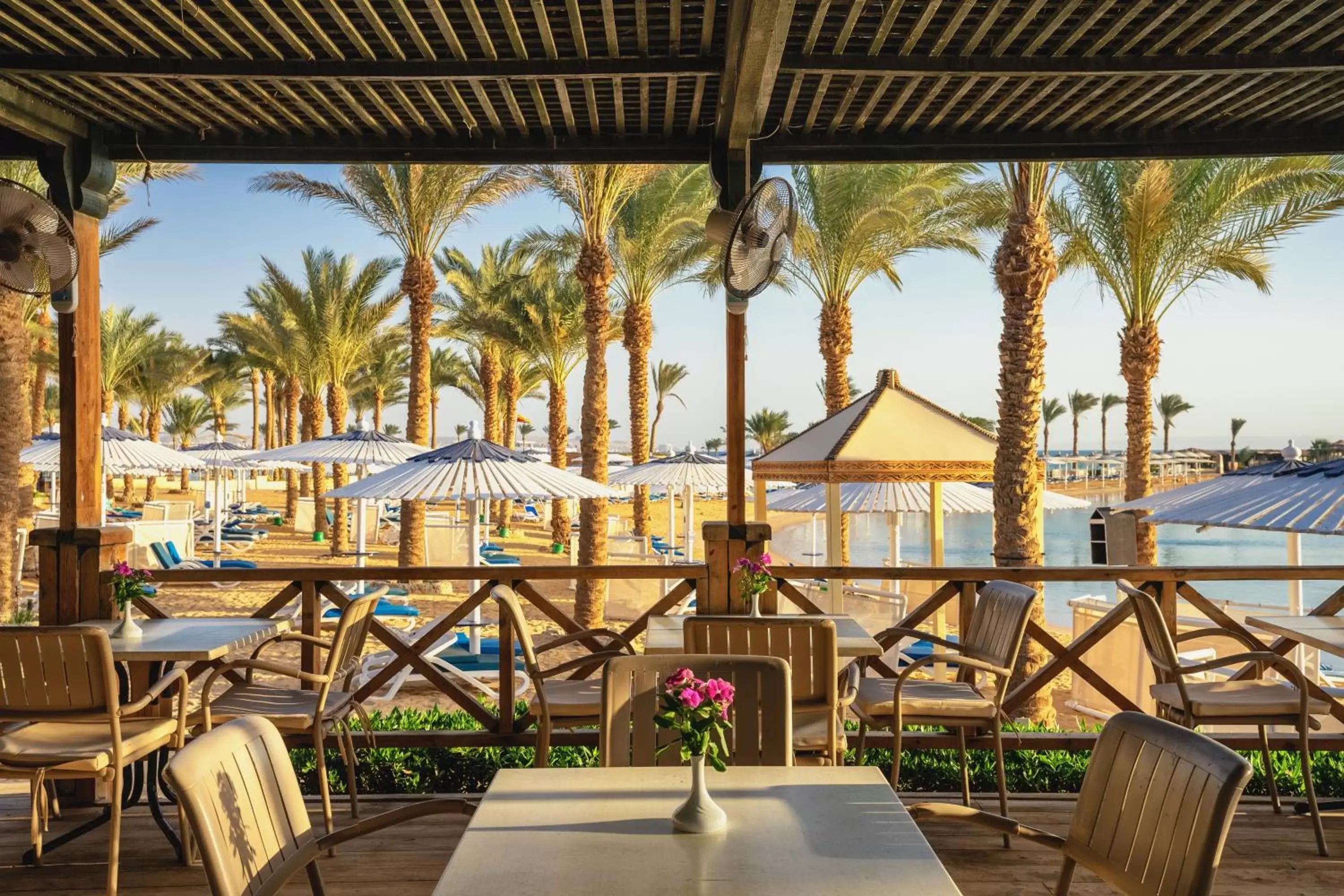 Restaurant/places to eat in Swiss Inn Resort Hurghada