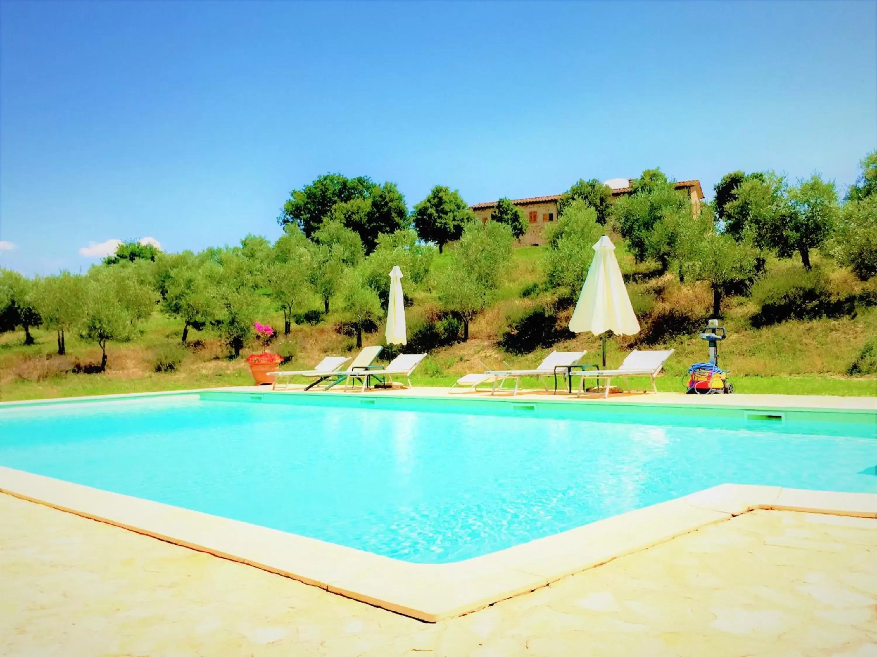 Swimming Pool in Locanda Vesuna