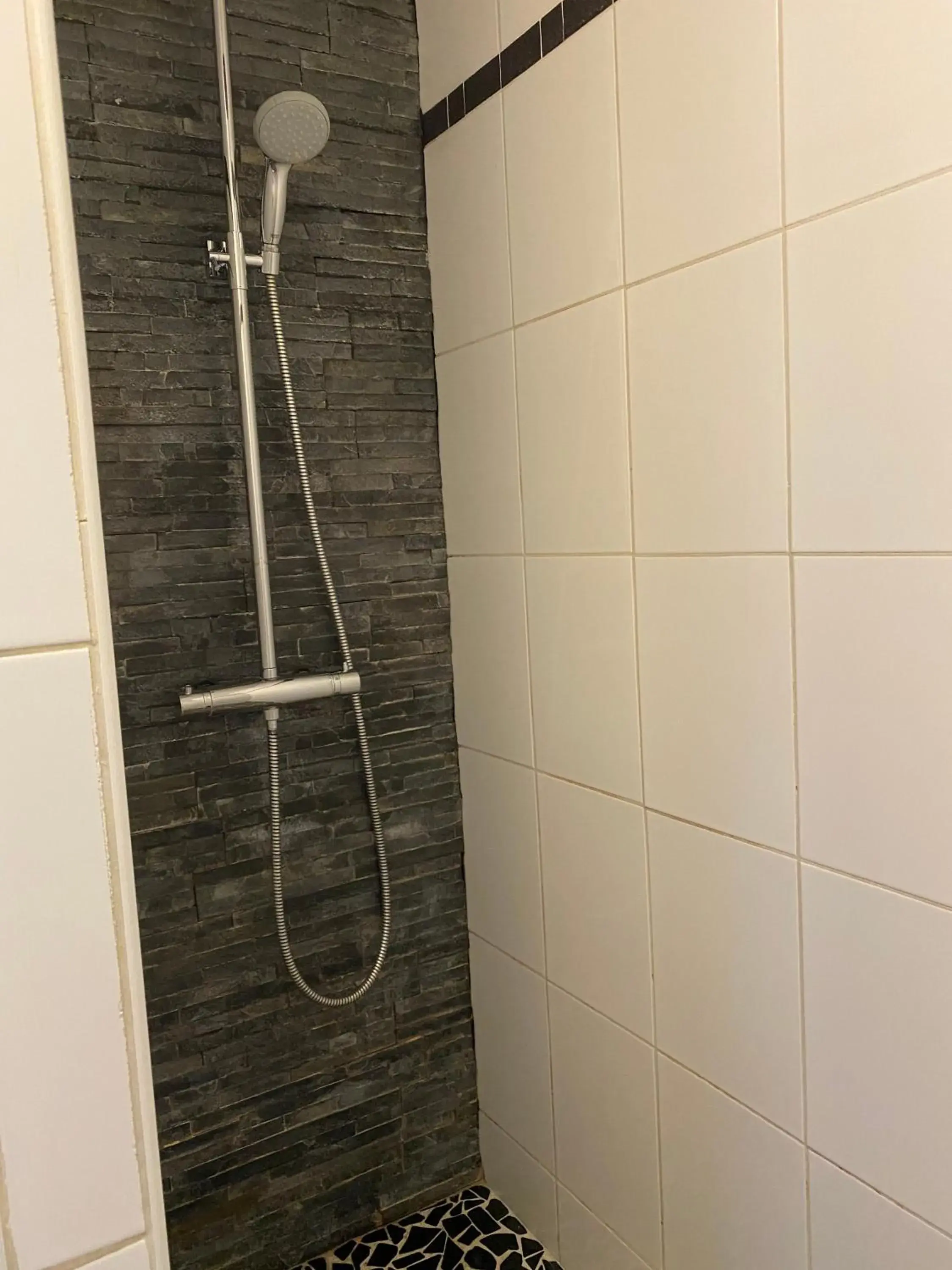 Shower, Bathroom in Hotel Colbert