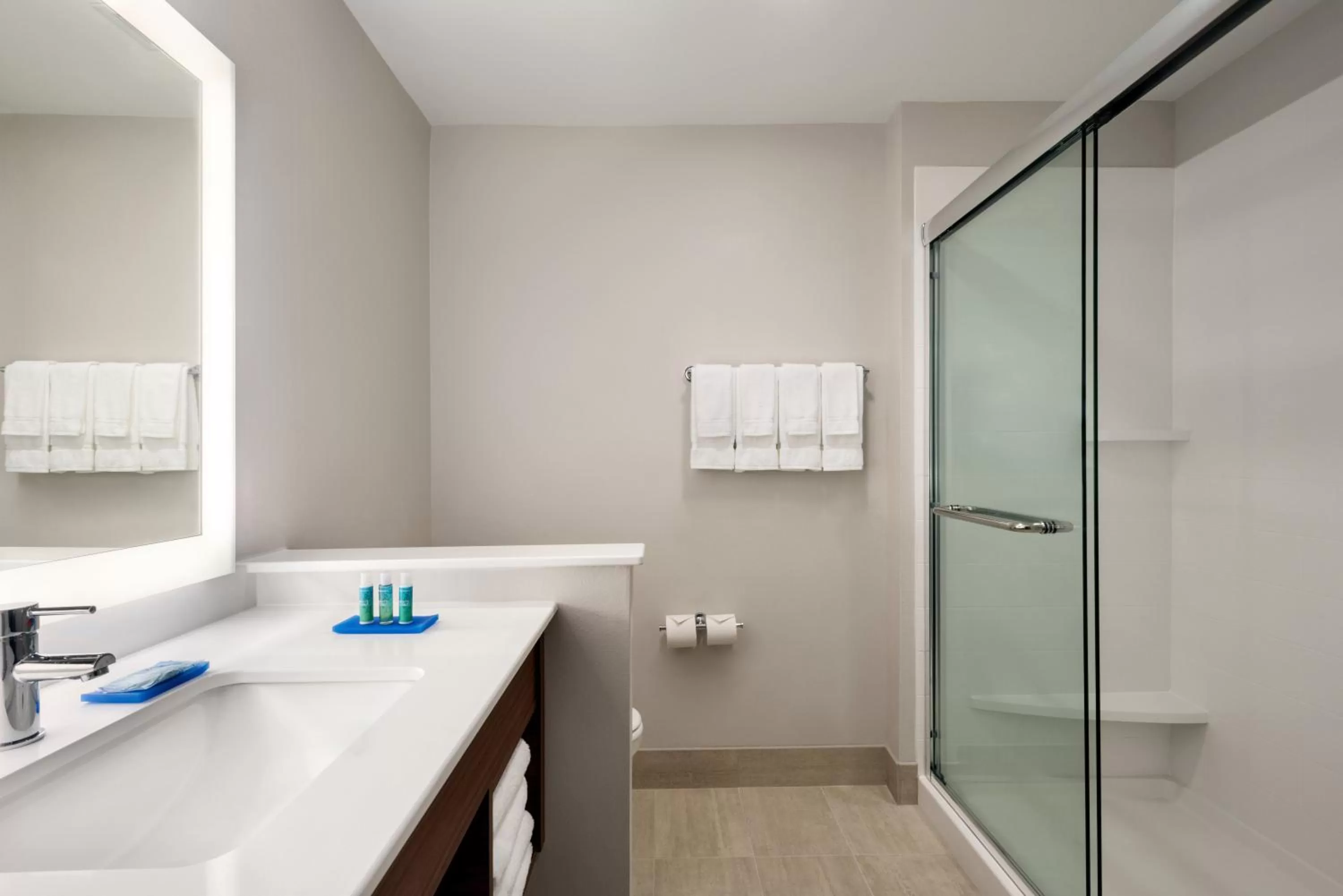 Bathroom in Holiday Inn Express & Suites - West Des Moines - Jordan Creek by IHG