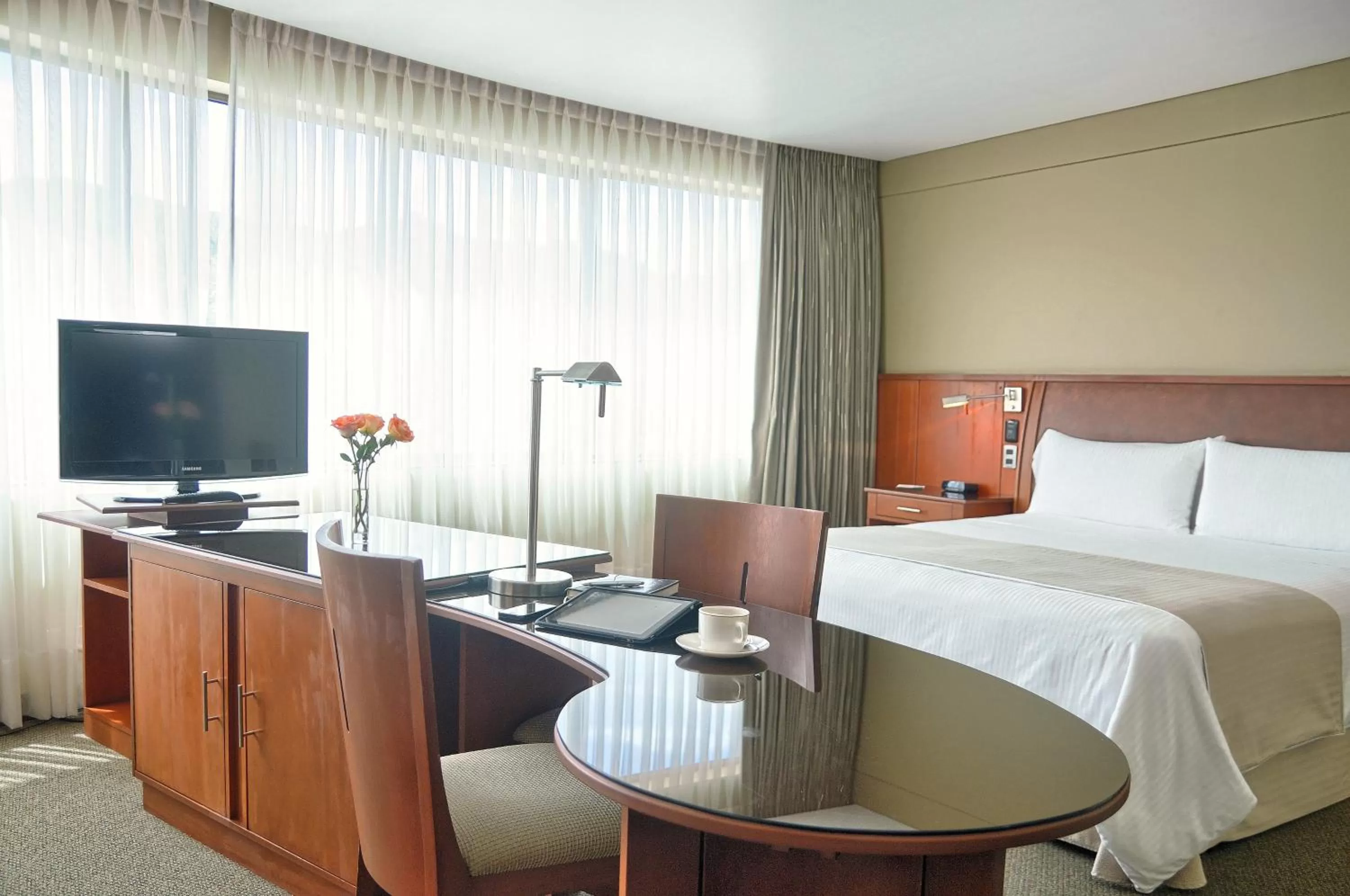 One-Bedroom King Suite in Suites Camino Real