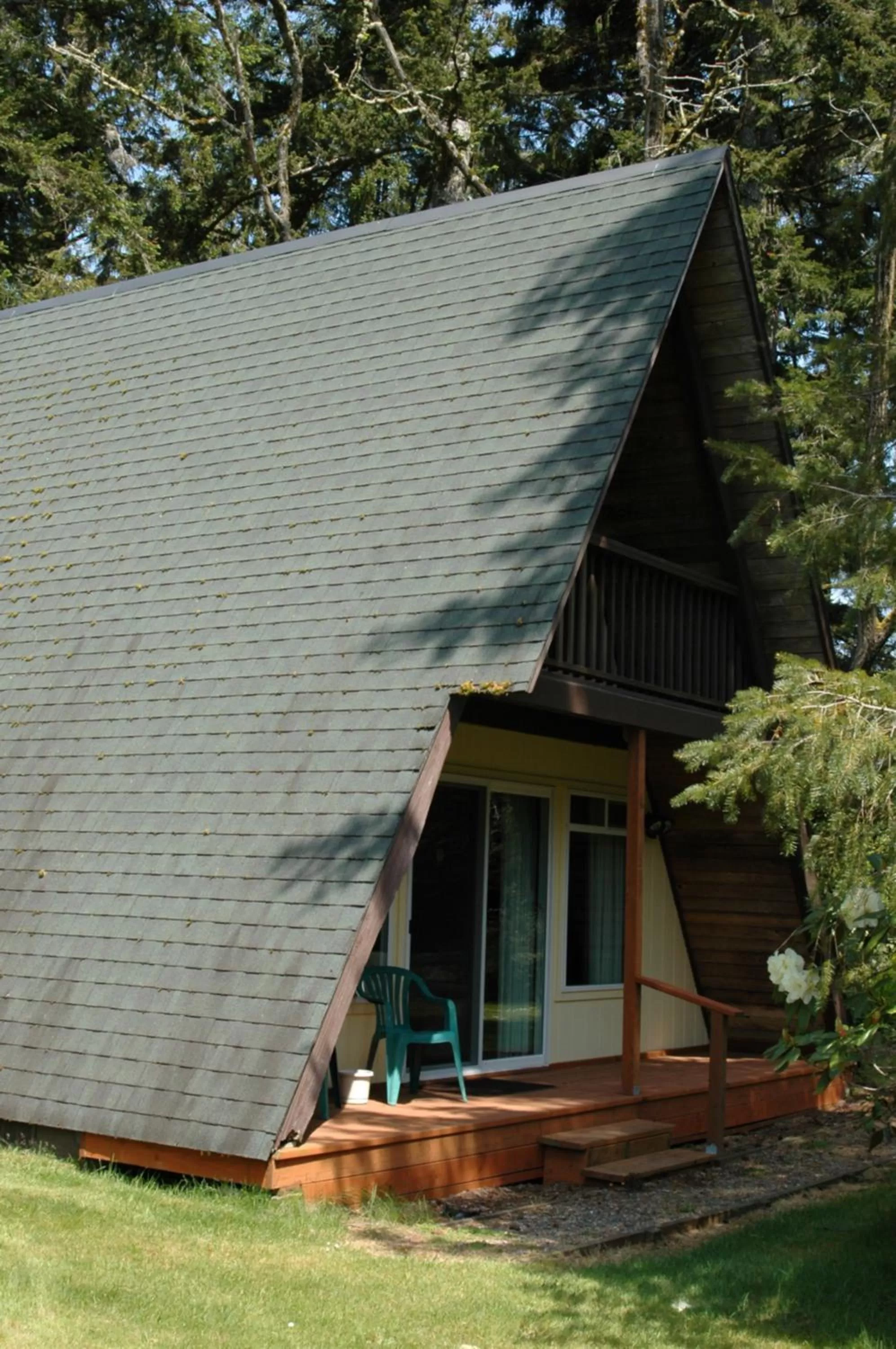 Park Motel and Cabins