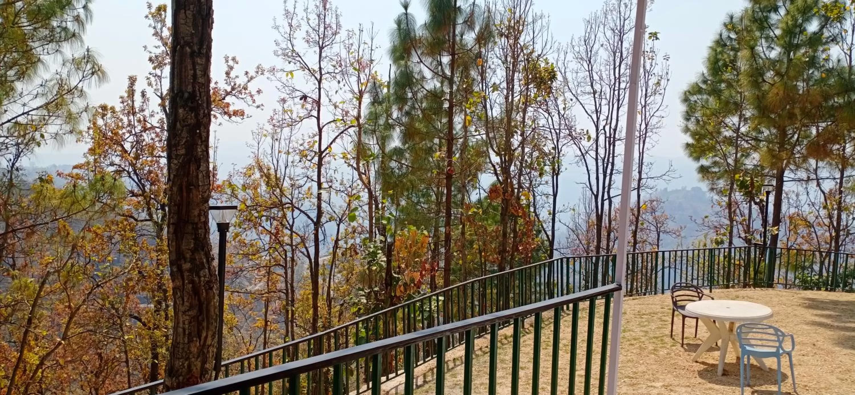 Garden in Blue Pine Orchards - Villas