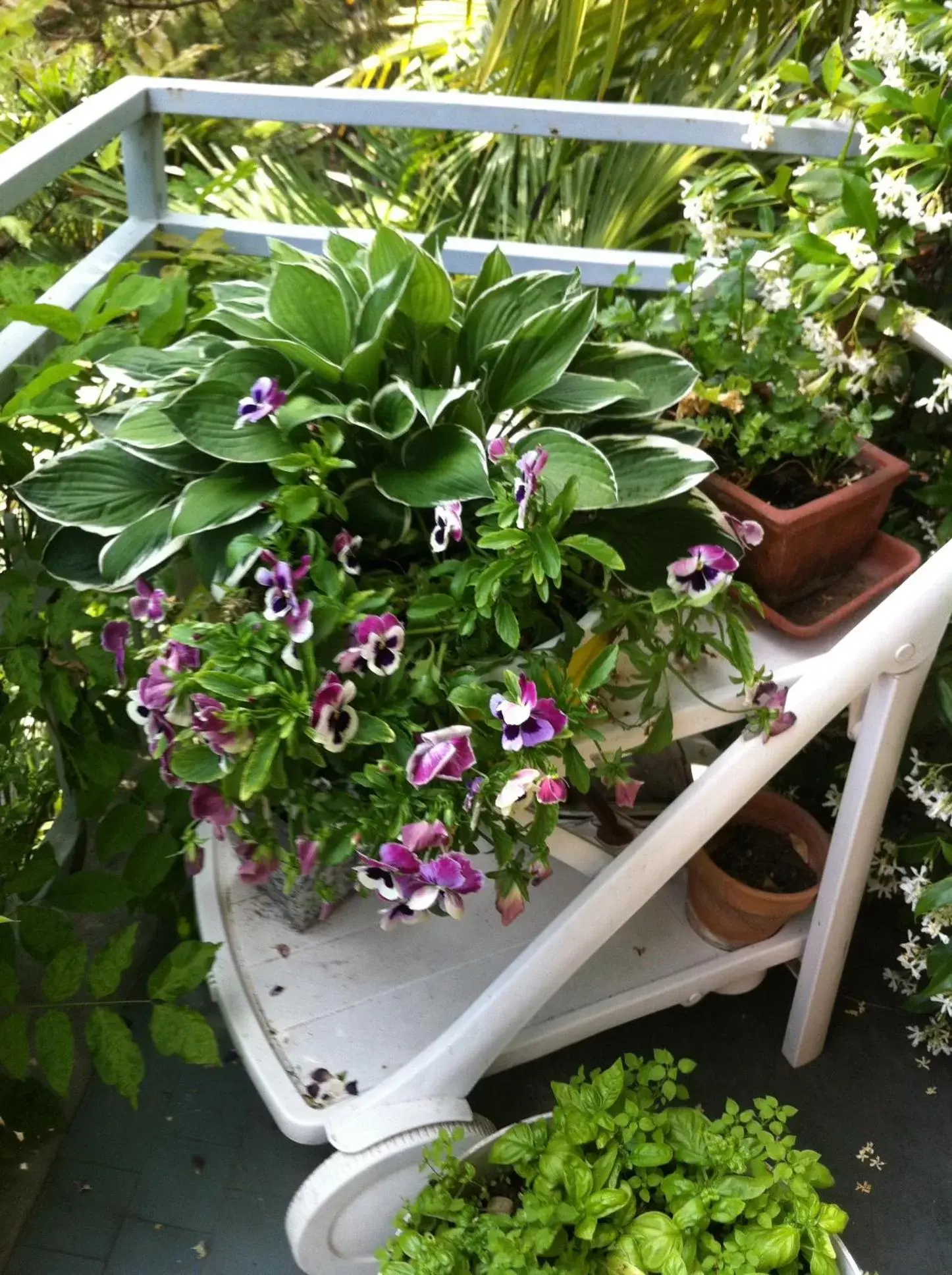 Balcony/Terrace in B&B Le Ortensie -Lago di Como