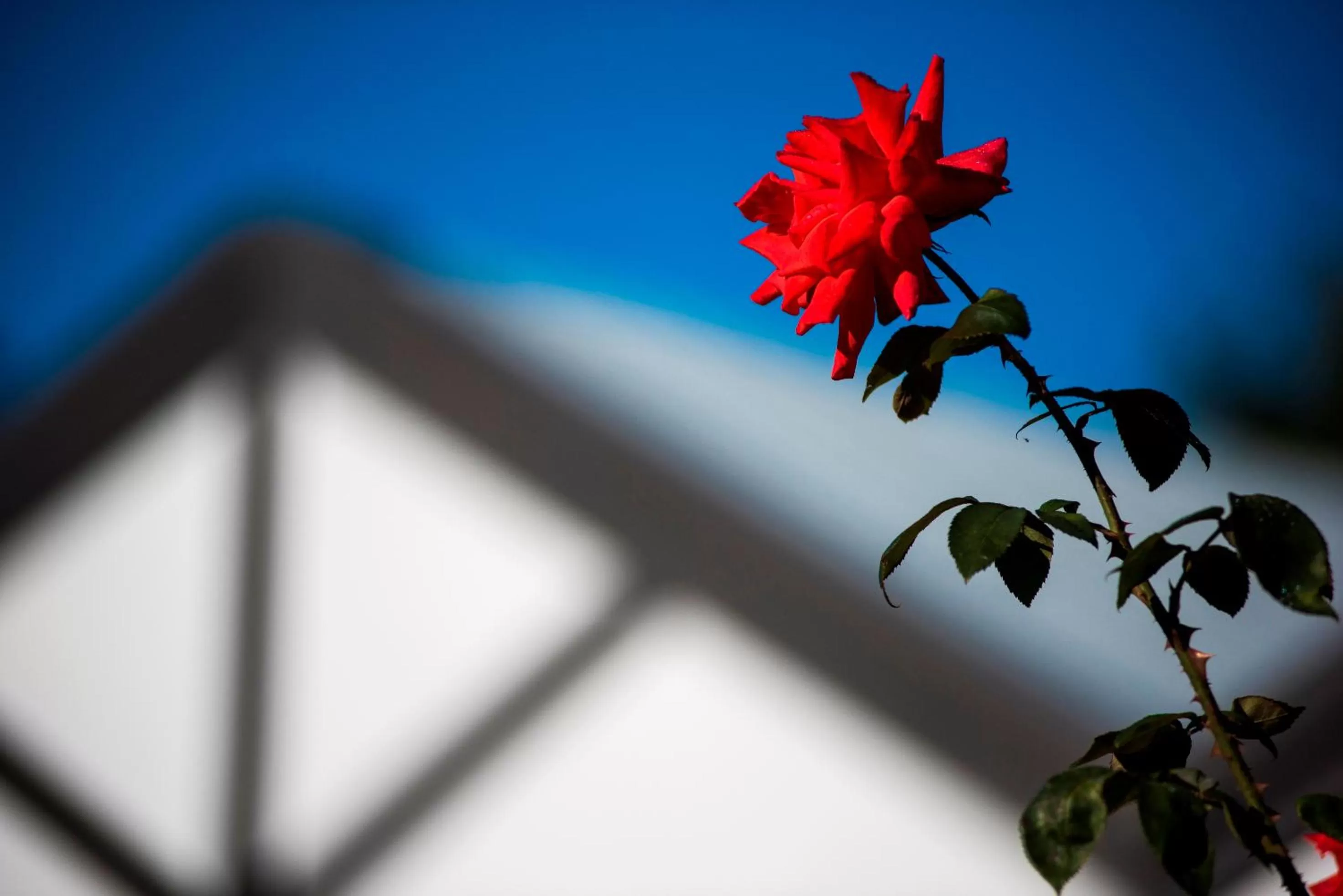 Other in Tudor Park Motel Spacious with kitchens 1 minute walk to restaurant and shopping centre and Gisborne Hospital