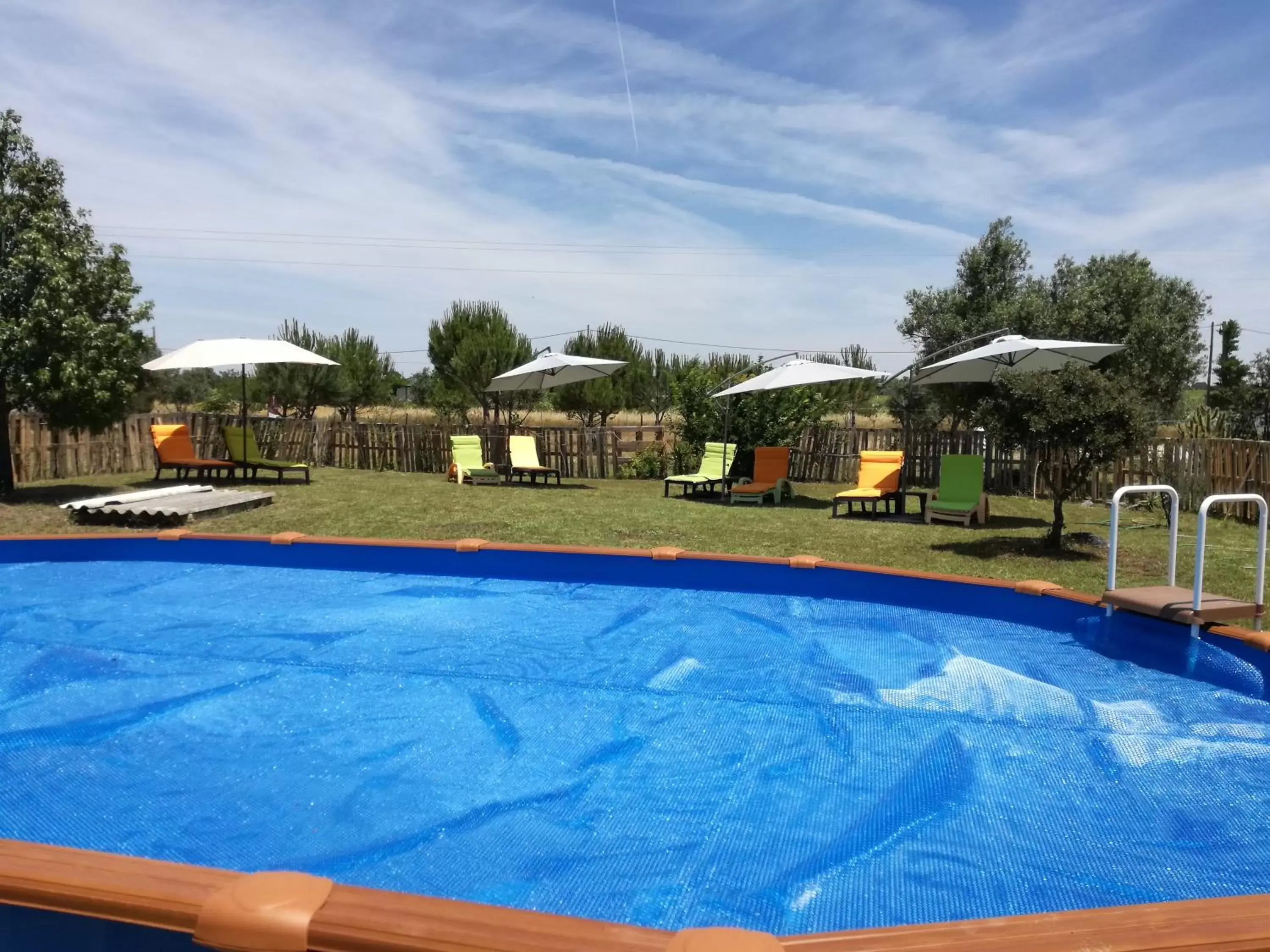 Swimming Pool in Quinta do Freixo