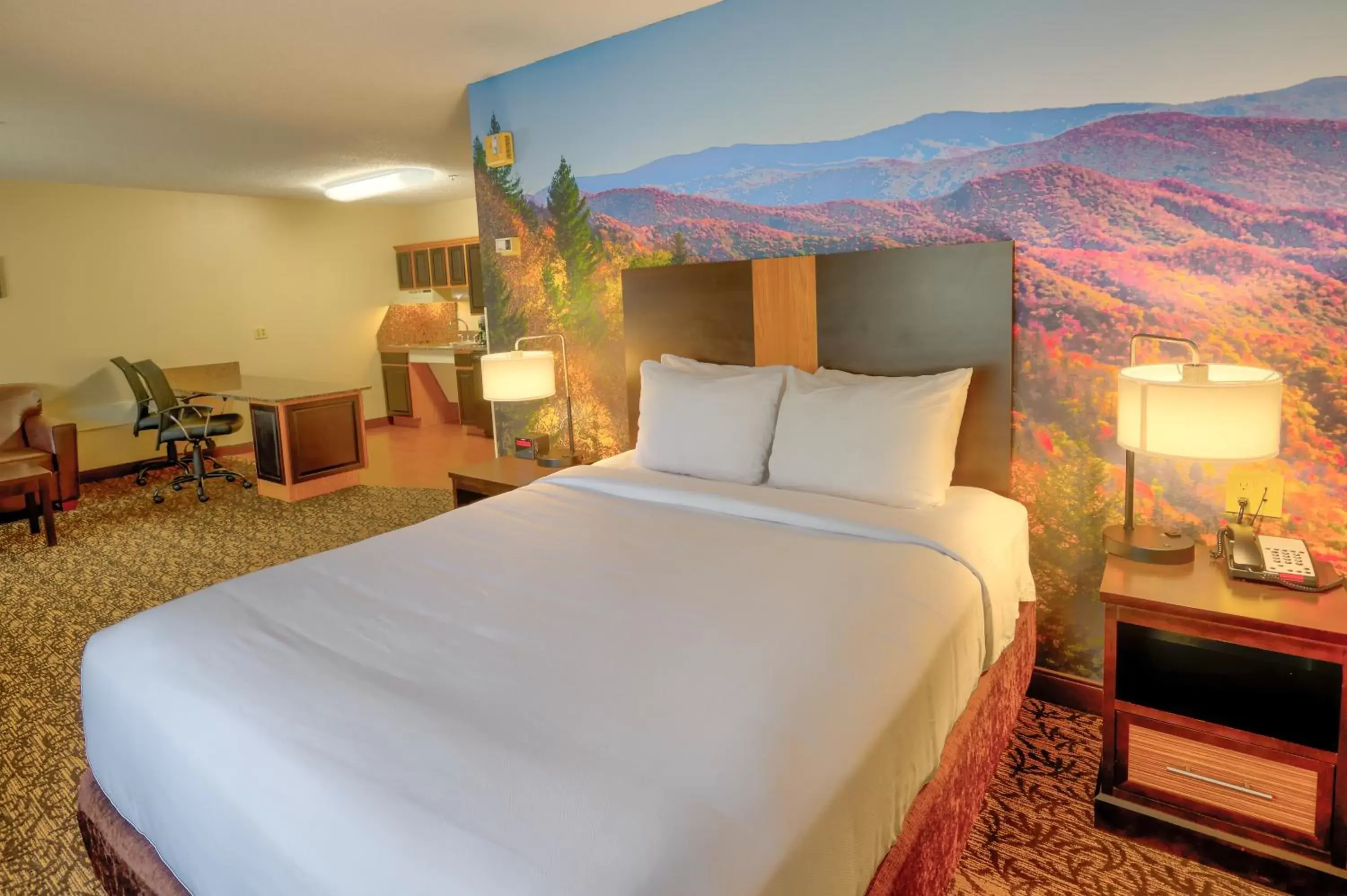 Queen Suite - Accessible/Non-Smoking in LeConte Hotel & Convention Center, an Ascend Collection Hotel Queen Suite - Accessible/Non-Smoking in LeConte Hotel & Convention Center, an Ascend Collection Hotel