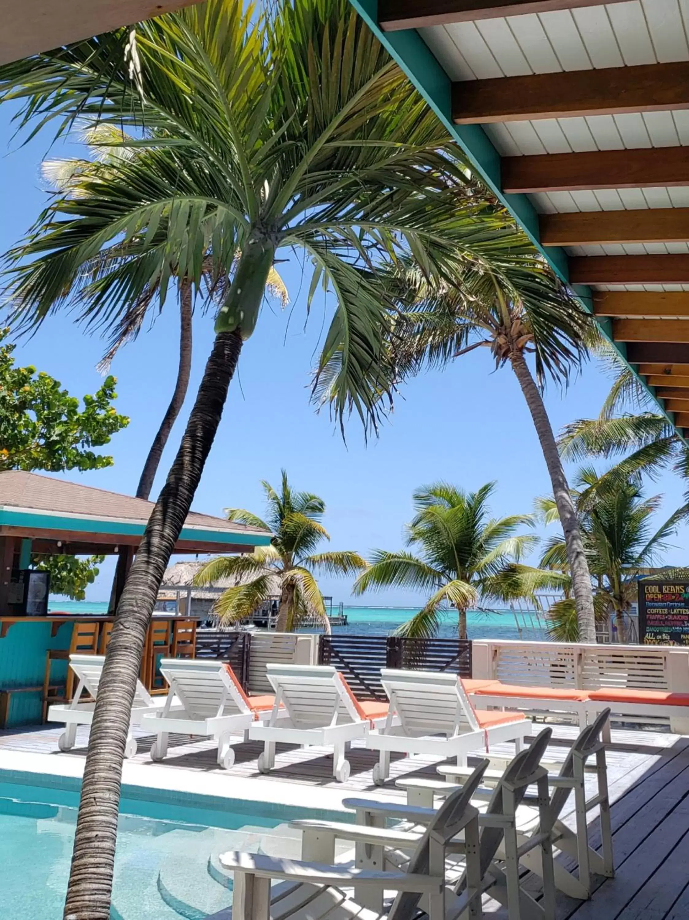 View (from property/room), Swimming Pool in Ocean Tide Beach Resort