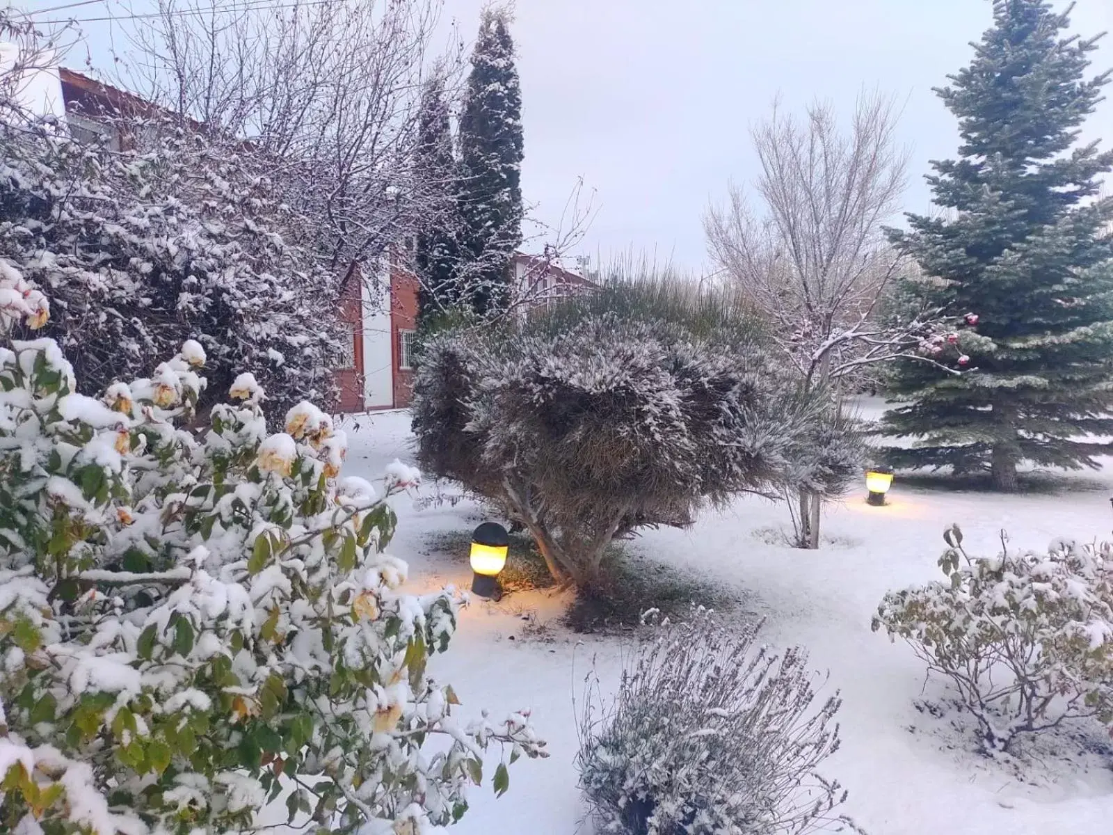 Garden view, Winter in Hotel Picos Del Sur