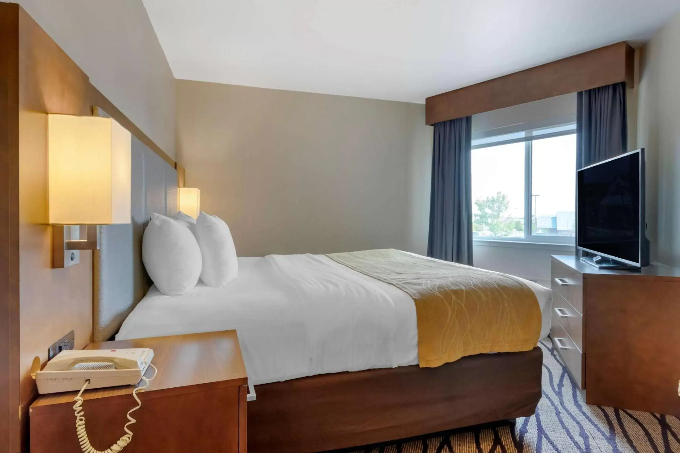 Photo of the whole room, Bed in Comfort Inn & Suites Market - Airport