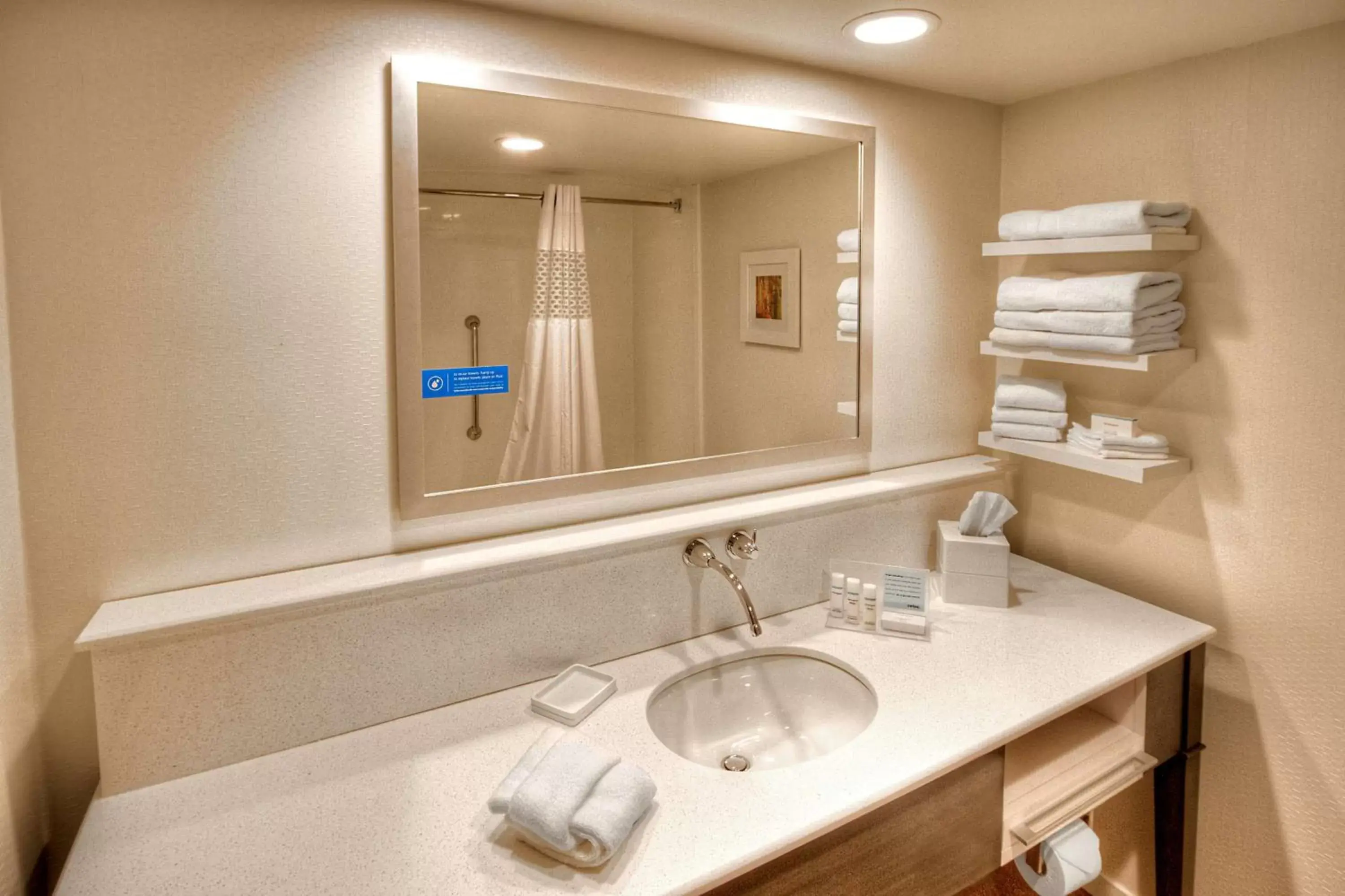 Bed, Bathroom in Hampton Inn and Suites Asheville Airport