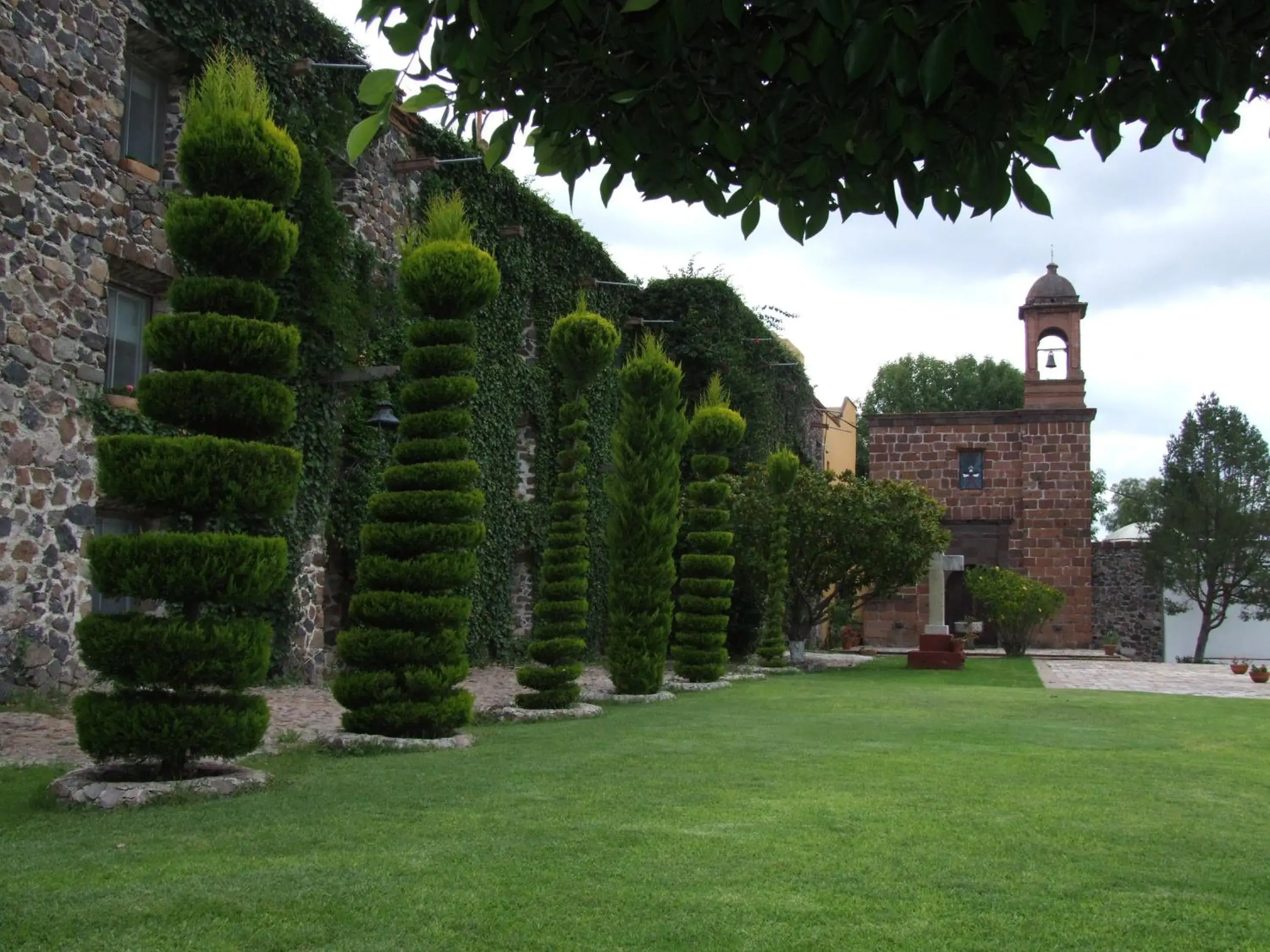 Garden in Posada de la Aldea