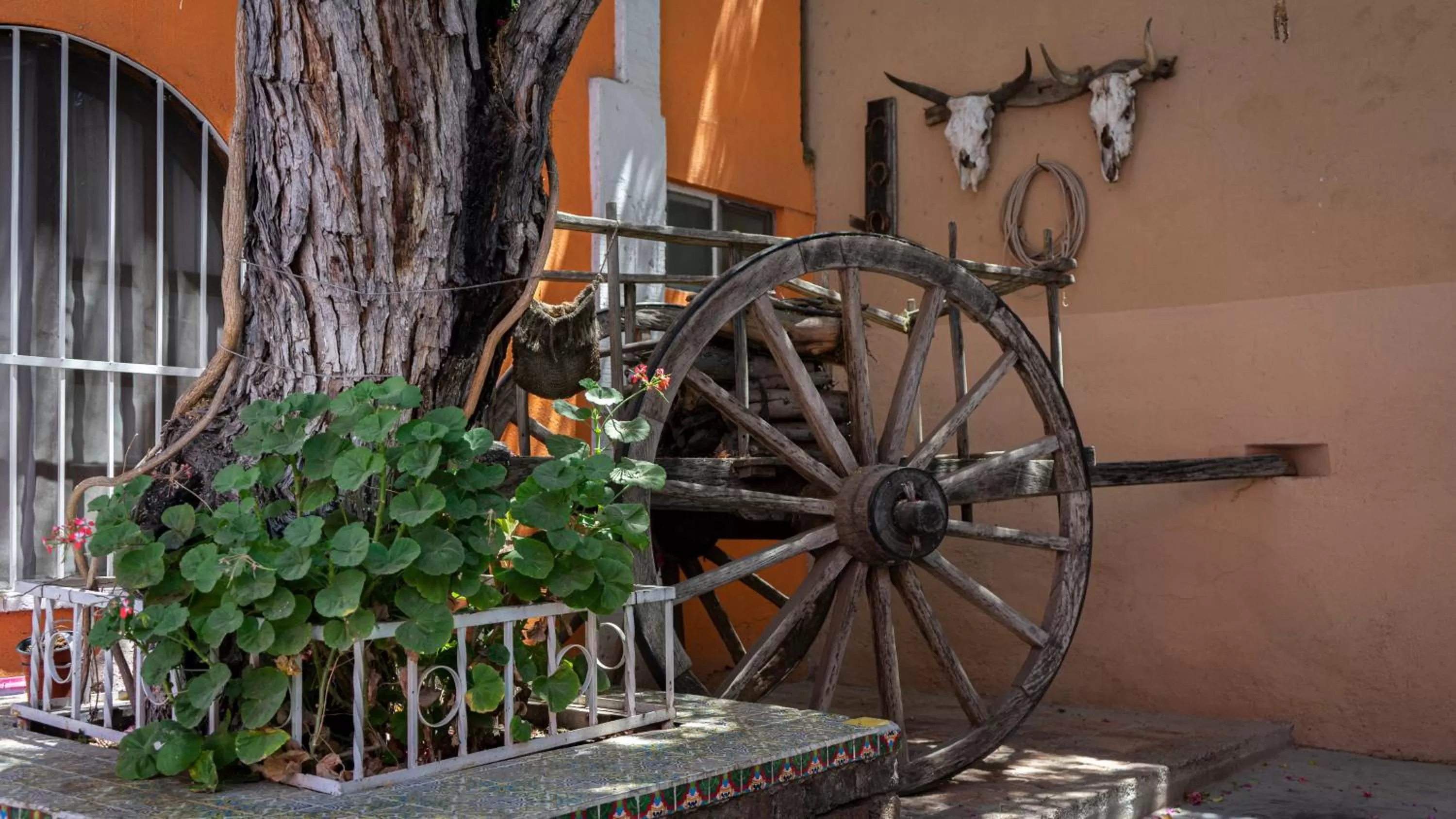 Patio in Hotel Posada Bugambilias