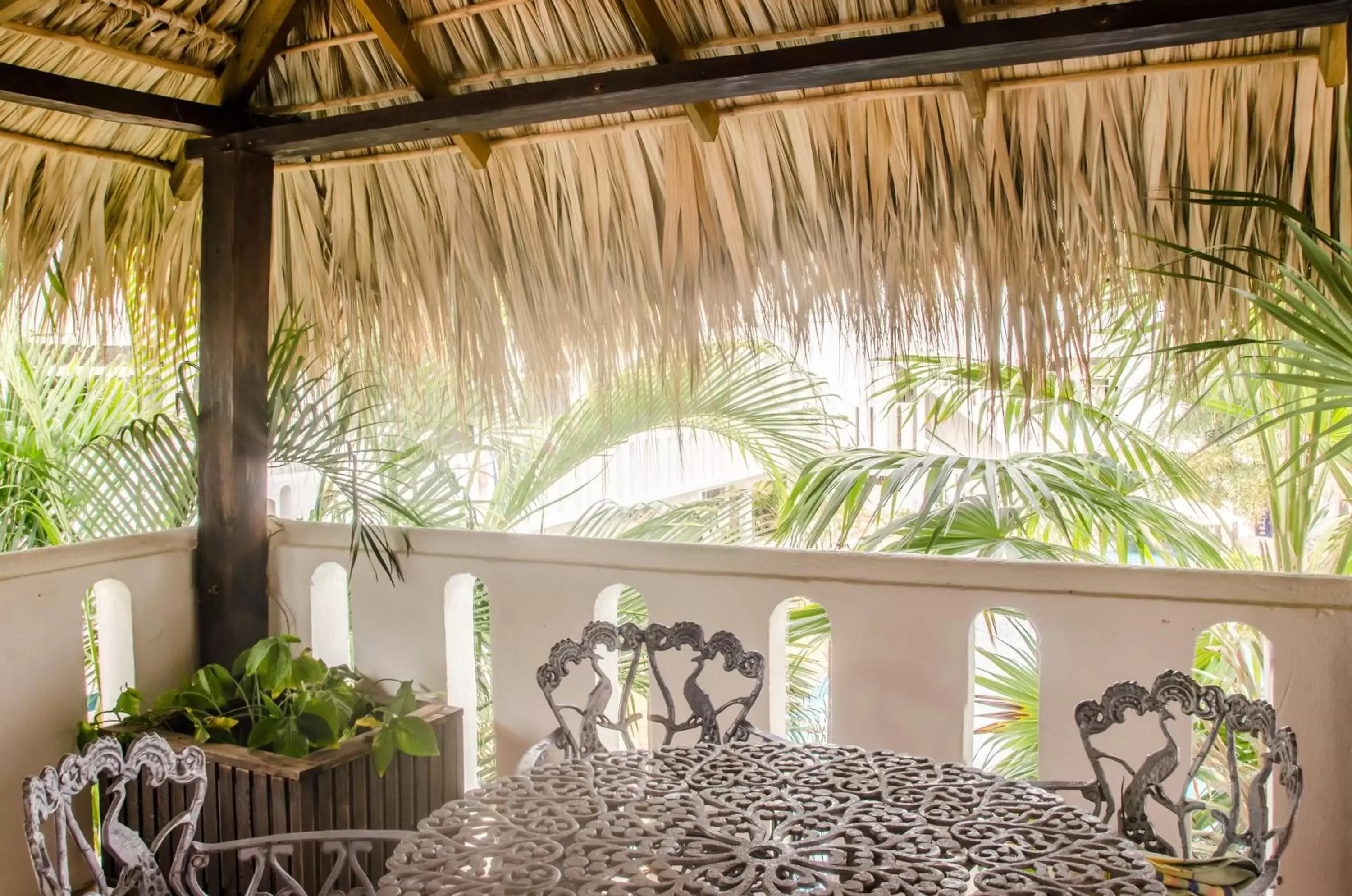 Balcony/Terrace in Bungalows Zicatela