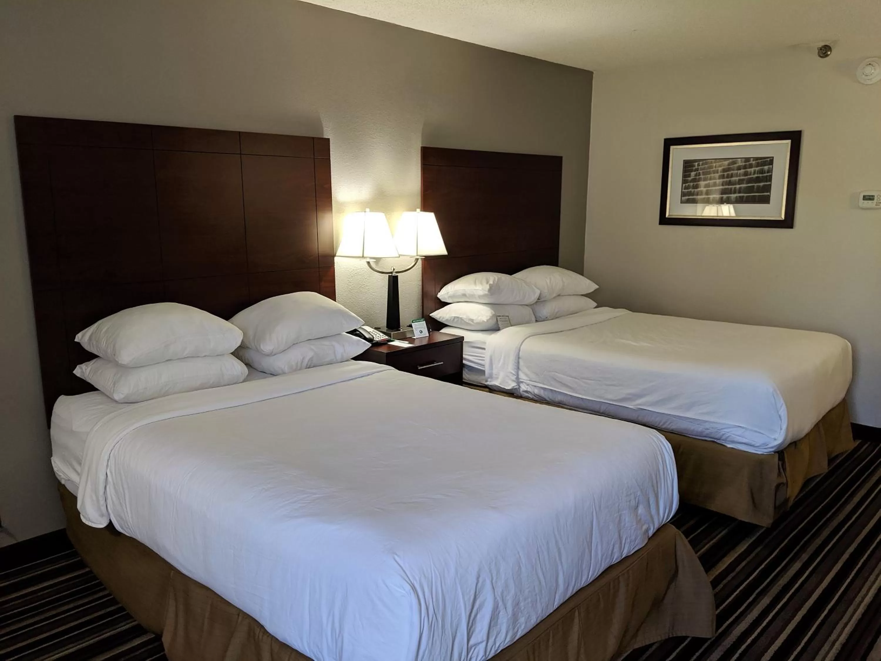 Photo of the whole room in Wyndham Garden Charlotte Airport Southeast