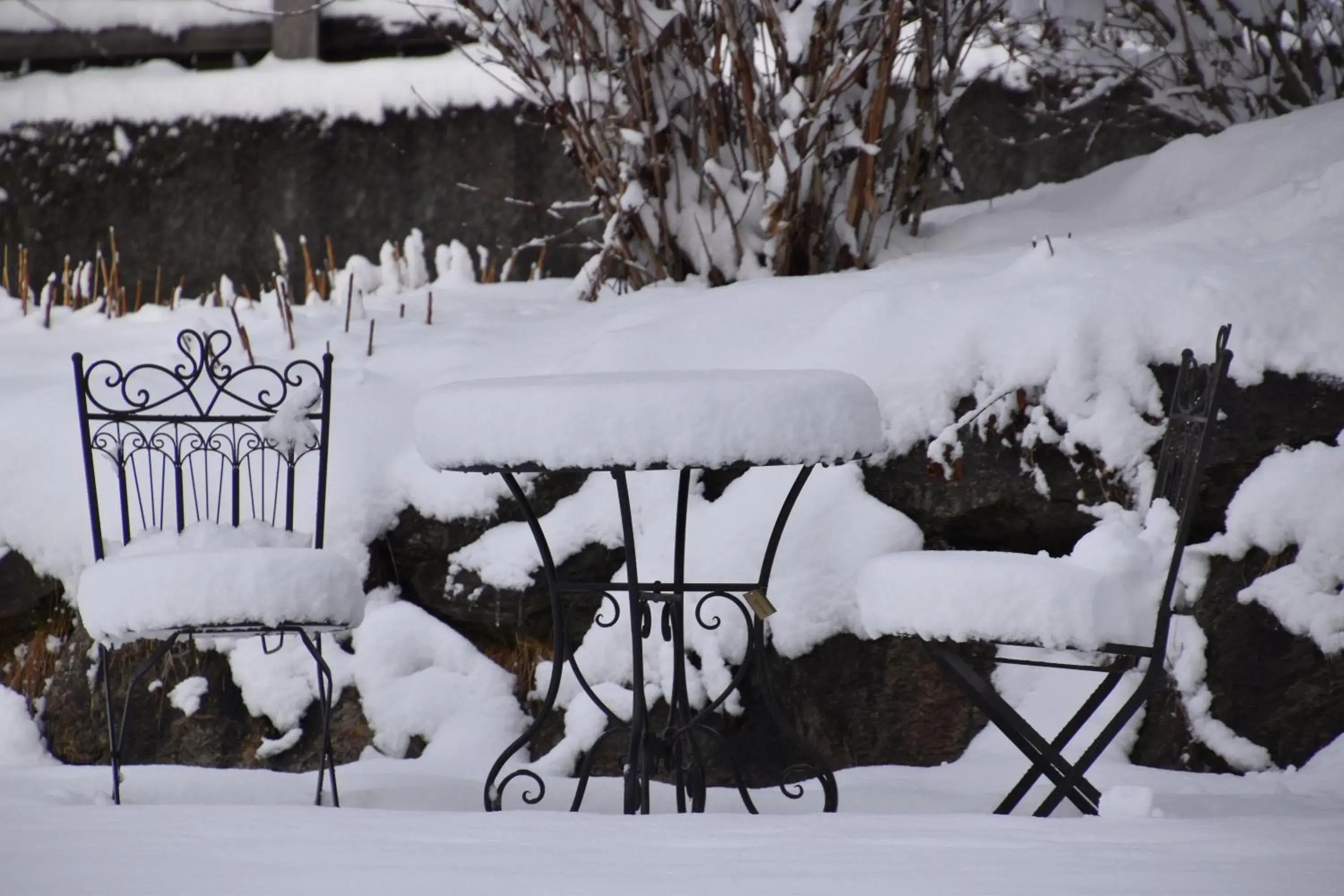 Garden, Winter in Majestic Hotel & Spa Resort