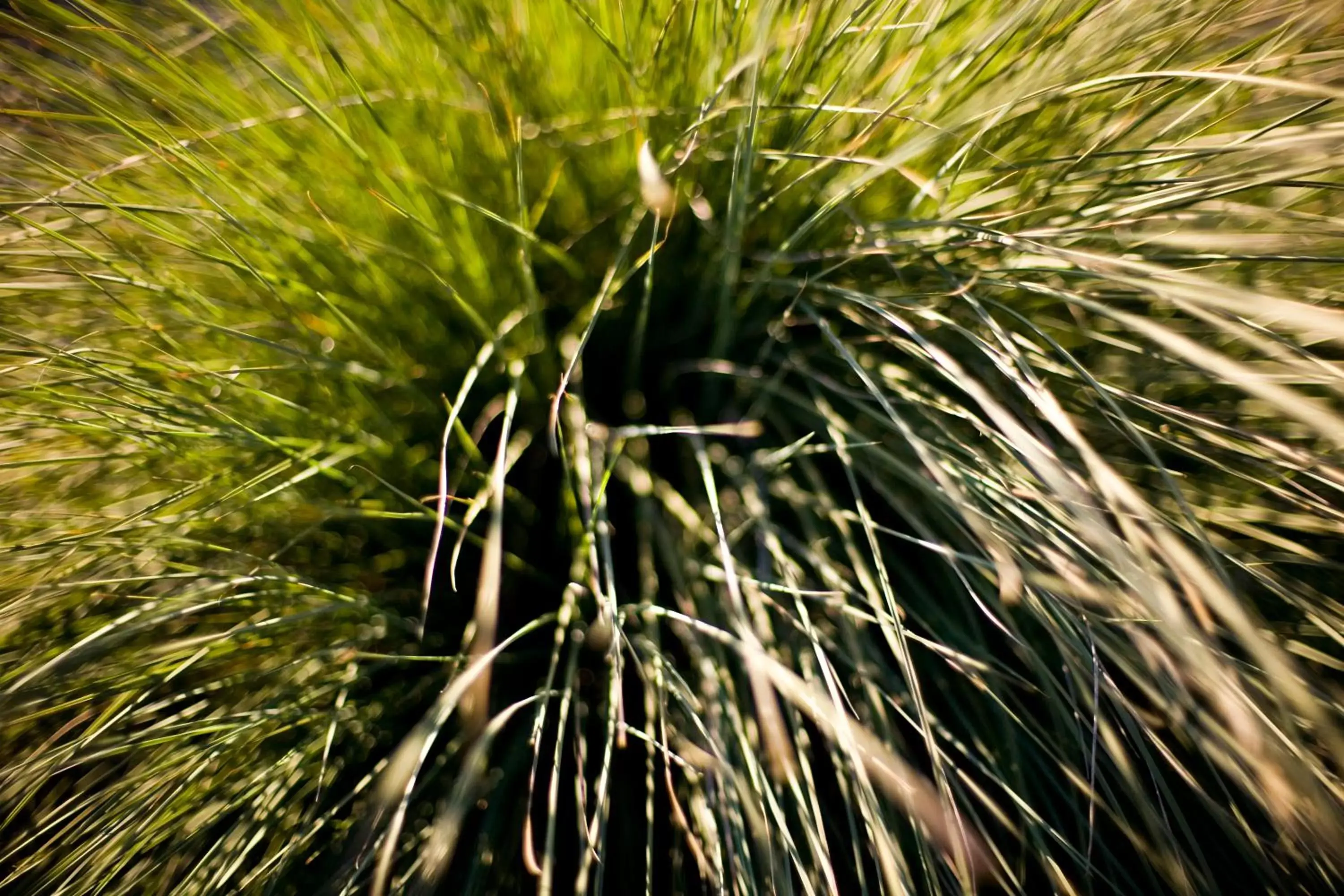 Decorative detail in Cambria Shores Inn