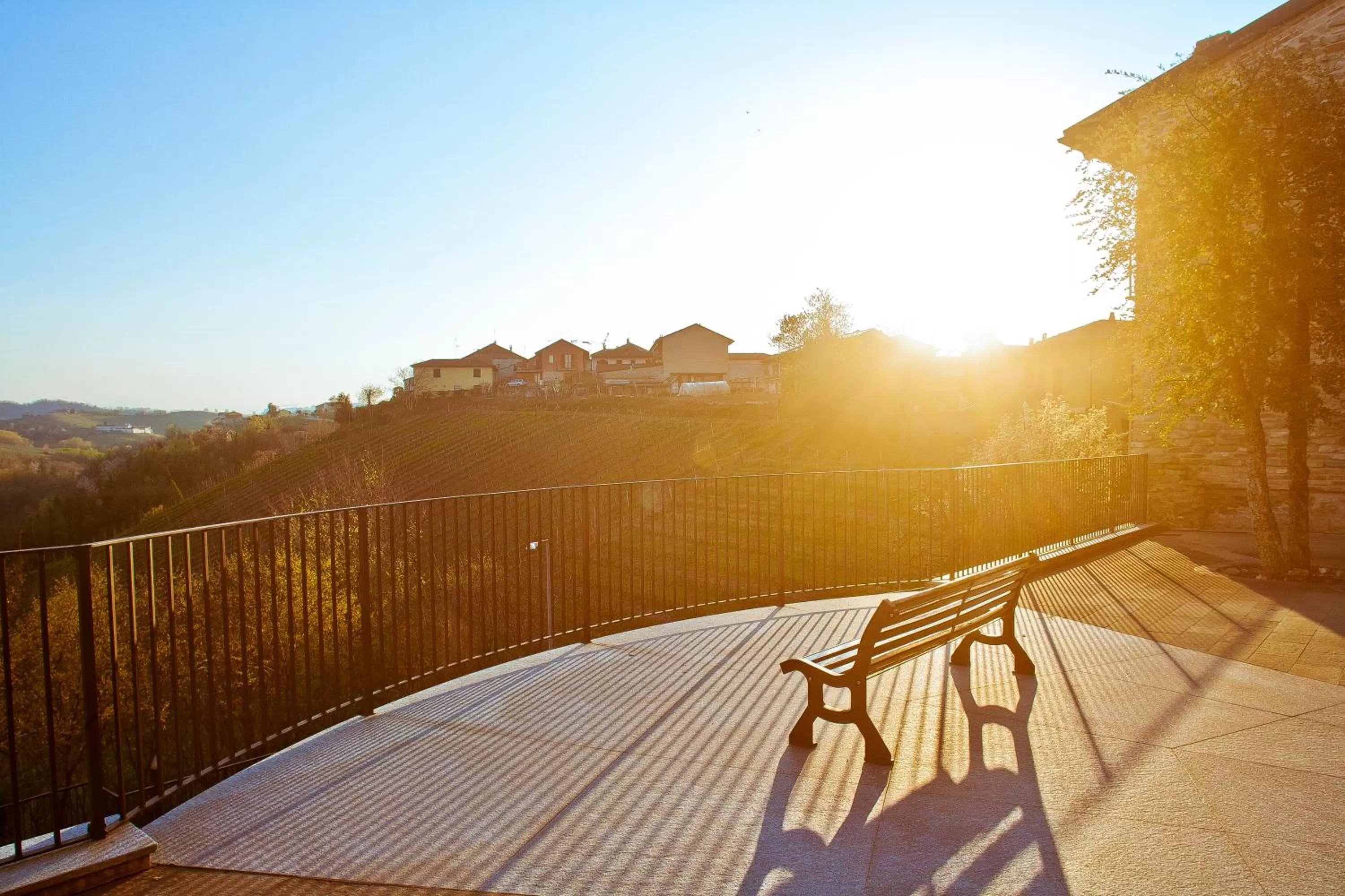 Natural landscape in Le Torri - Castiglione Falletto