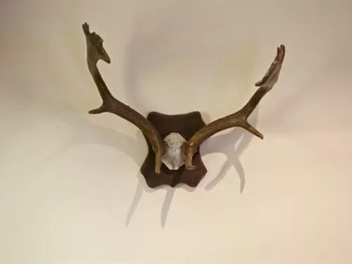 Other in The Sun Inn