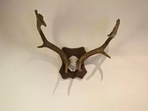 Other in The Sun Inn Other in The Sun Inn