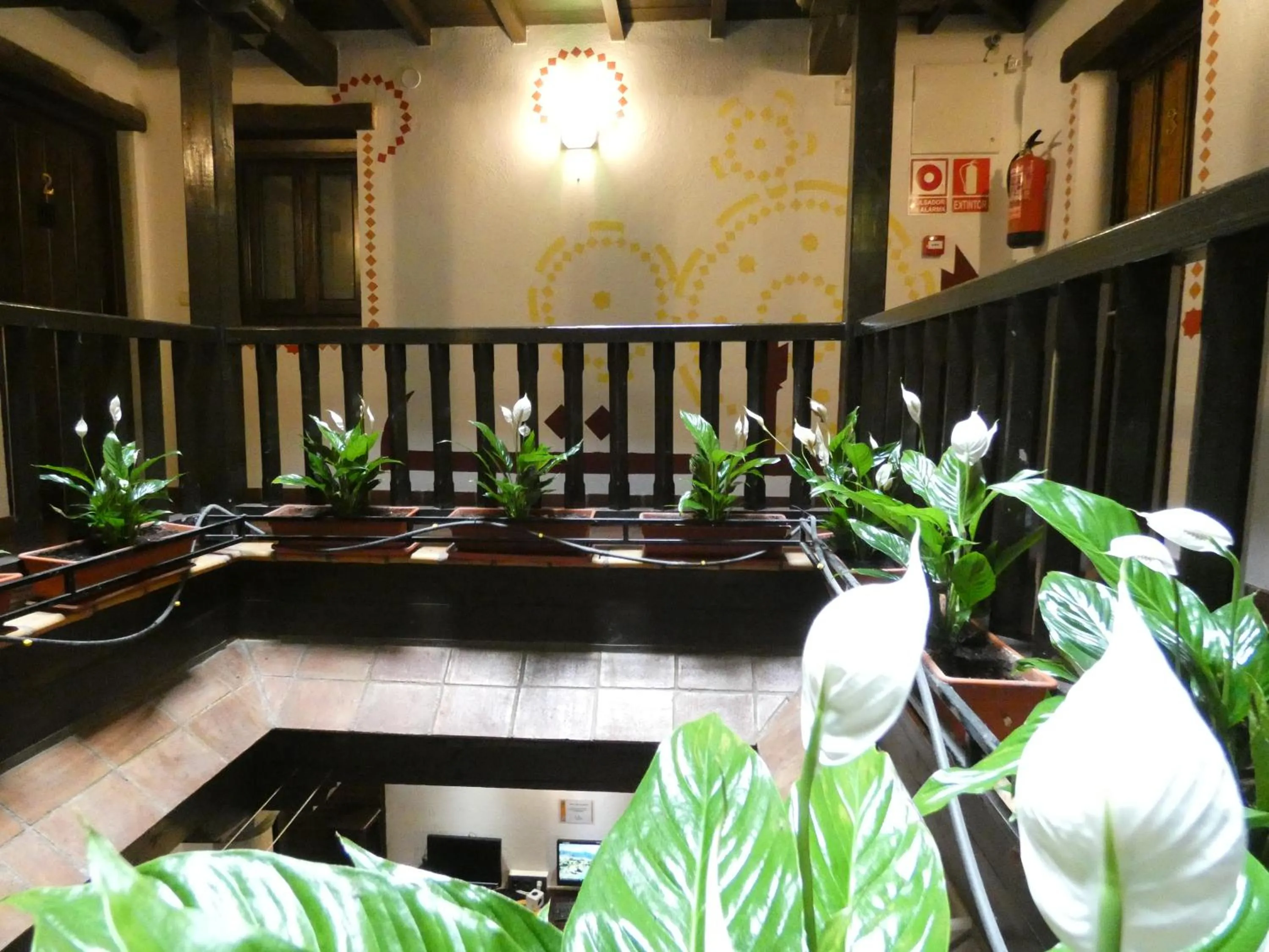 Patio in Oasis Backpackers' Hostel Granada