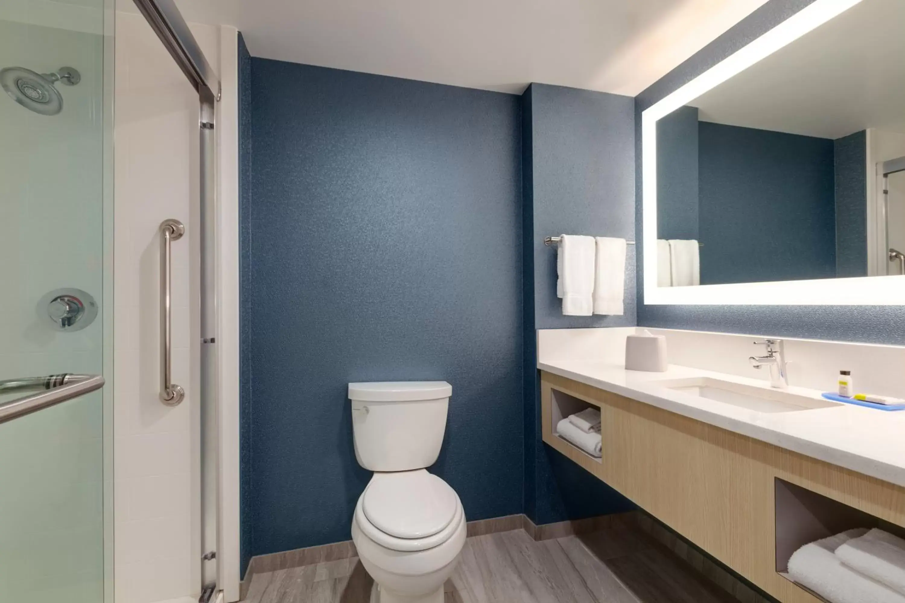 Bathroom in Holiday Inn Express Hotel & Suites Norfolk Airport, an IHG Hotel