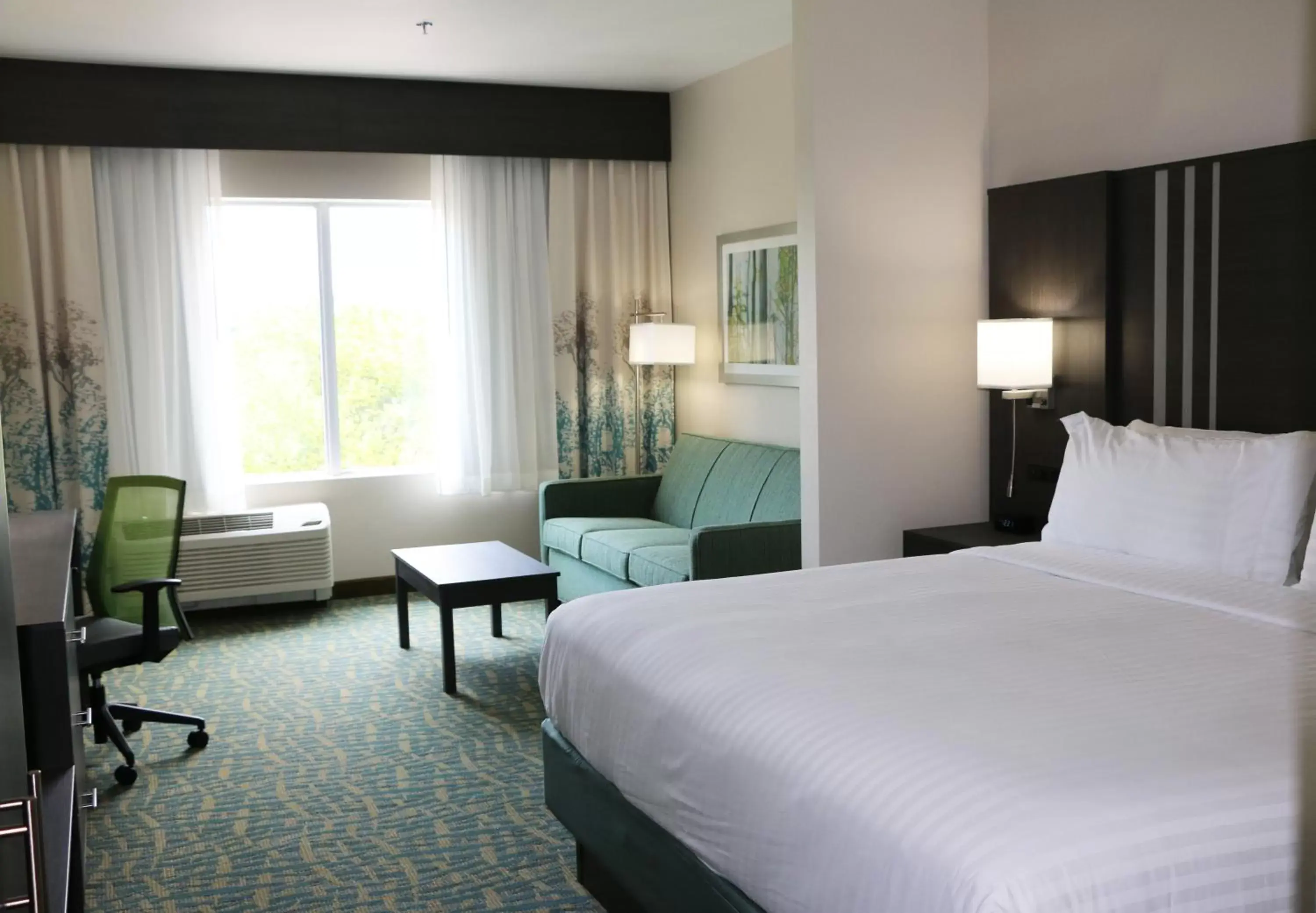 Living room, Bed in Holiday Inn Express & Suites - Hendersonville SE - Flat Rock, an IHG Hotel