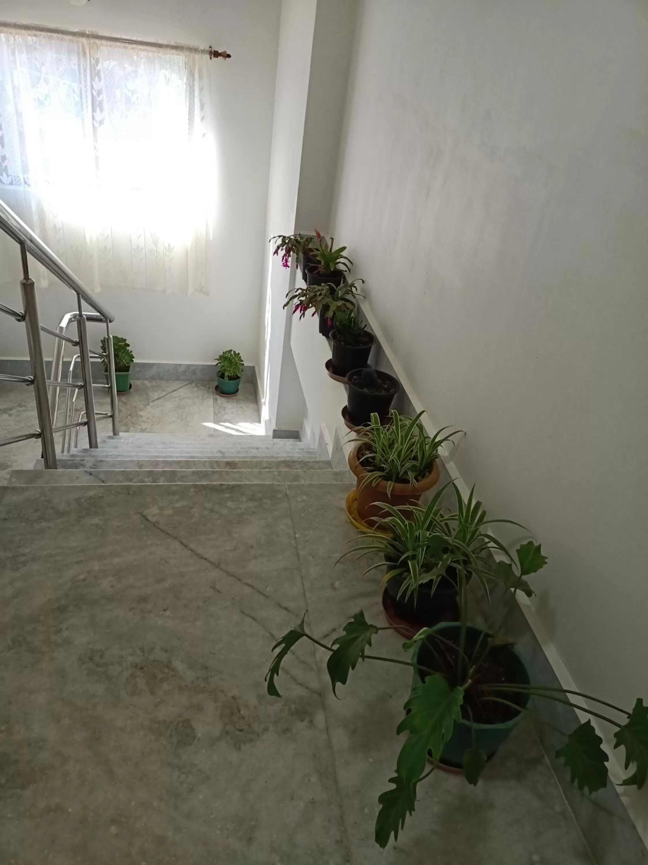 Facade/entrance in MANNA INSPIRA