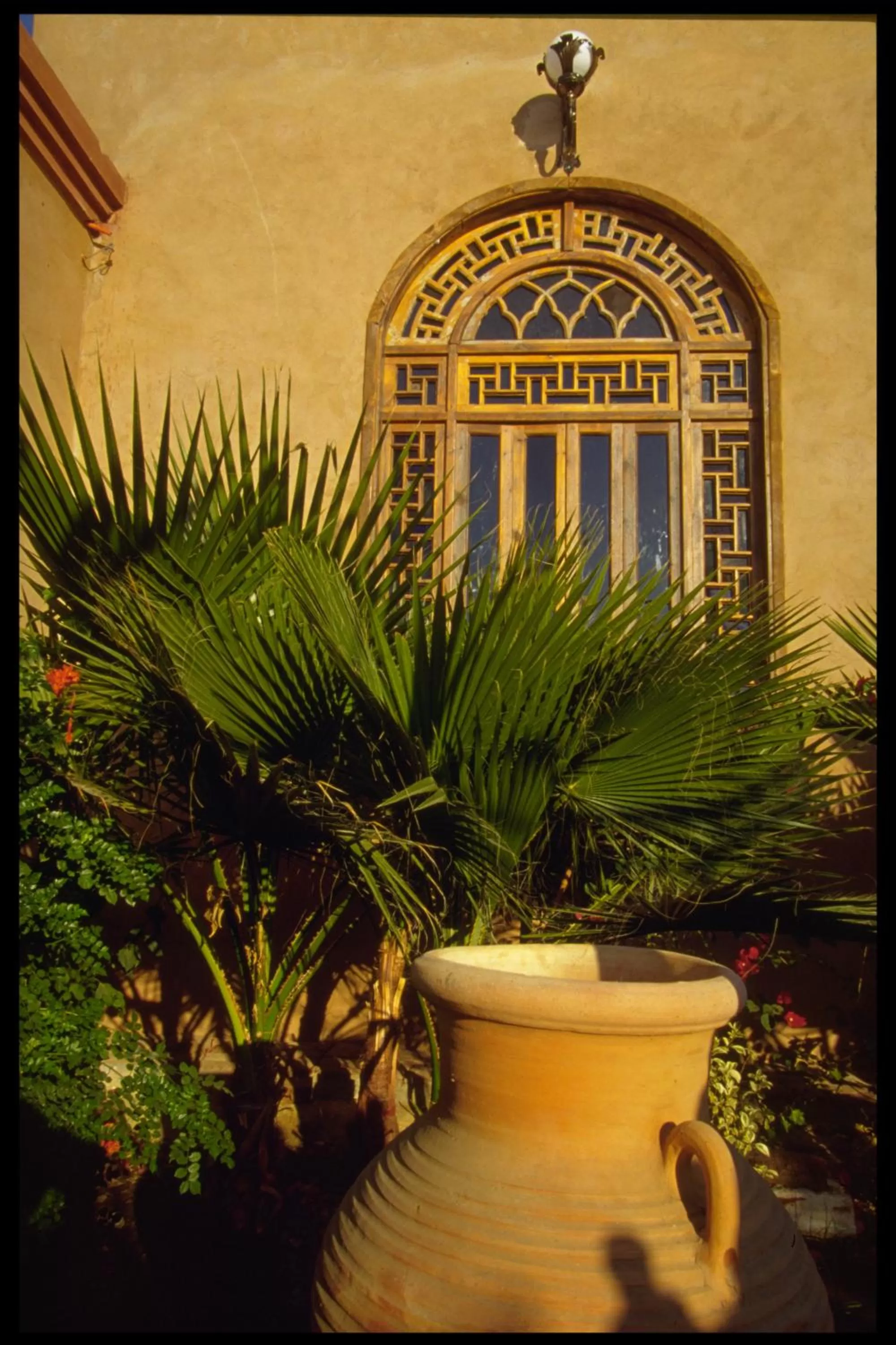 Balcony/Terrace in Al Moudira Hotel