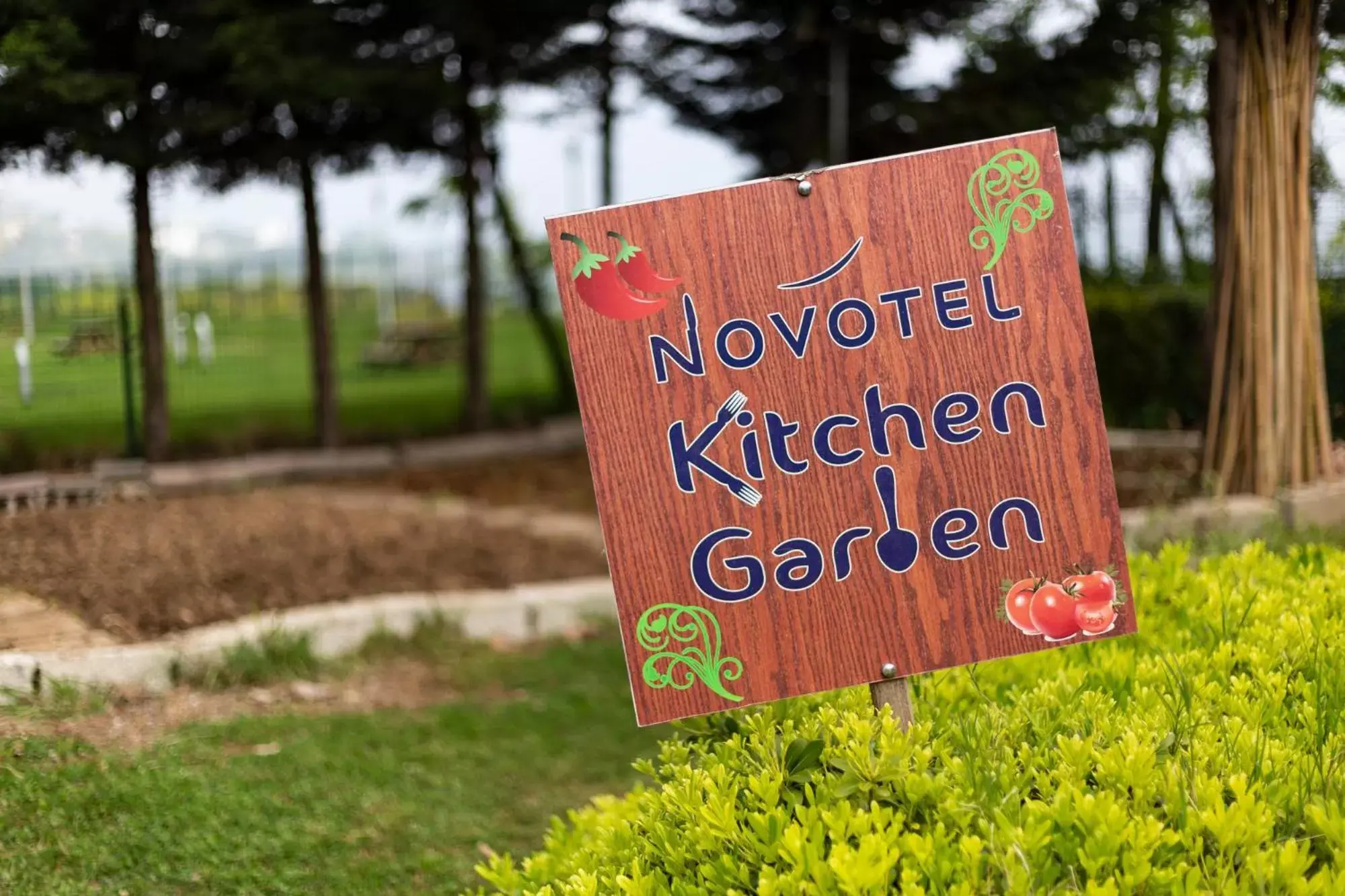 Garden in Novotel Trabzon