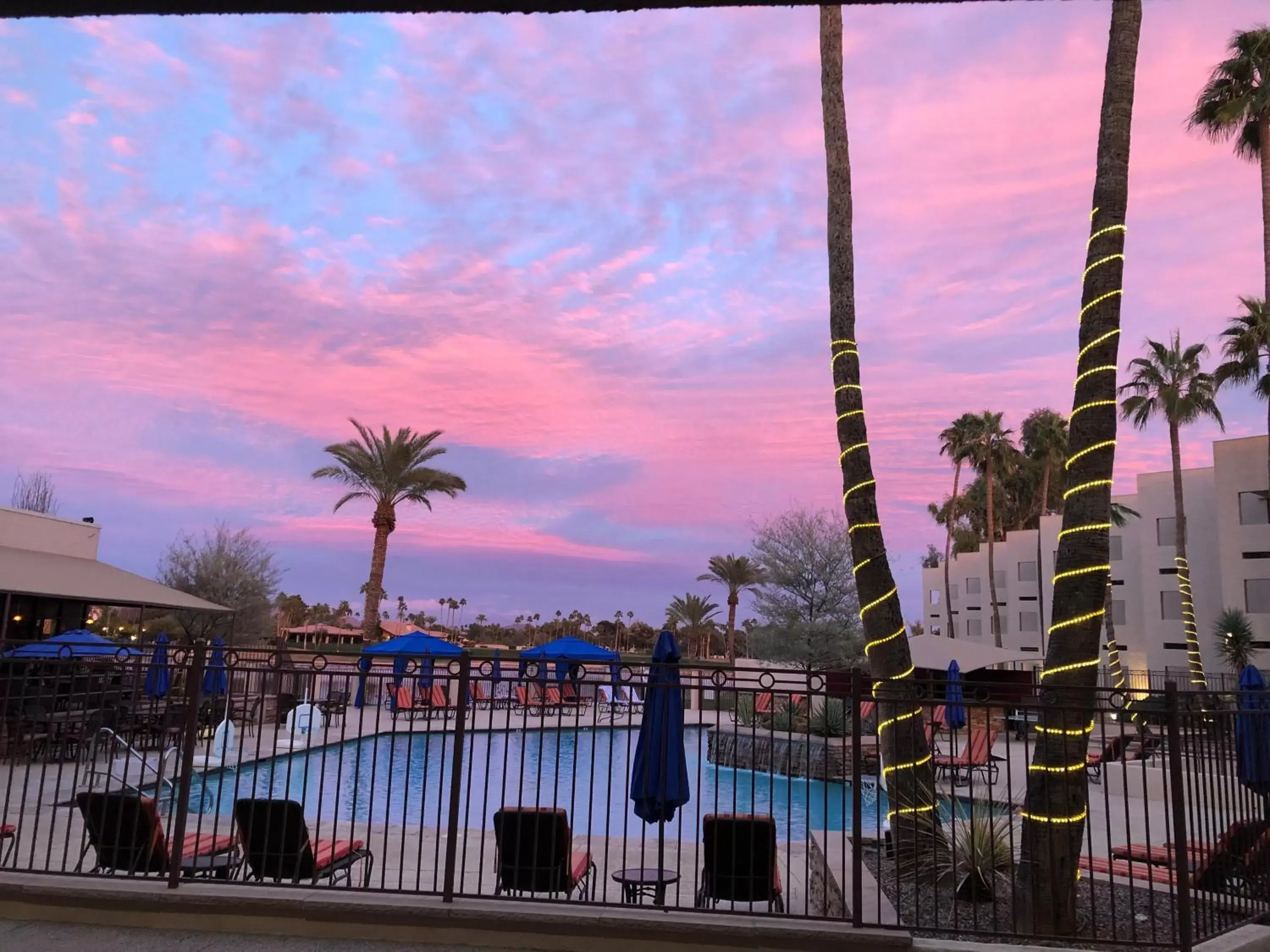 Swimming Pool in The McCormick Scottsdale