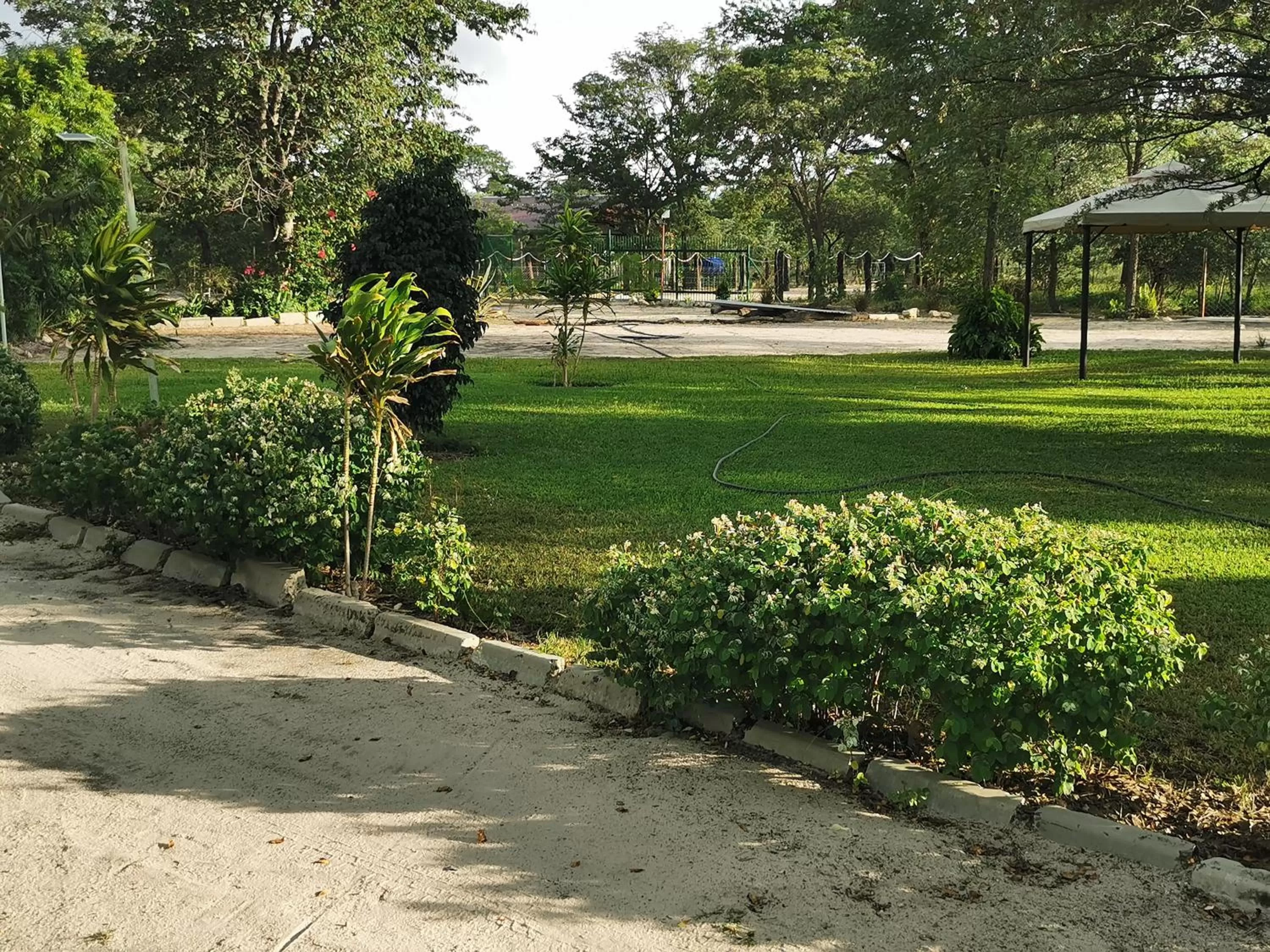 Garden in Happy Forest B&B