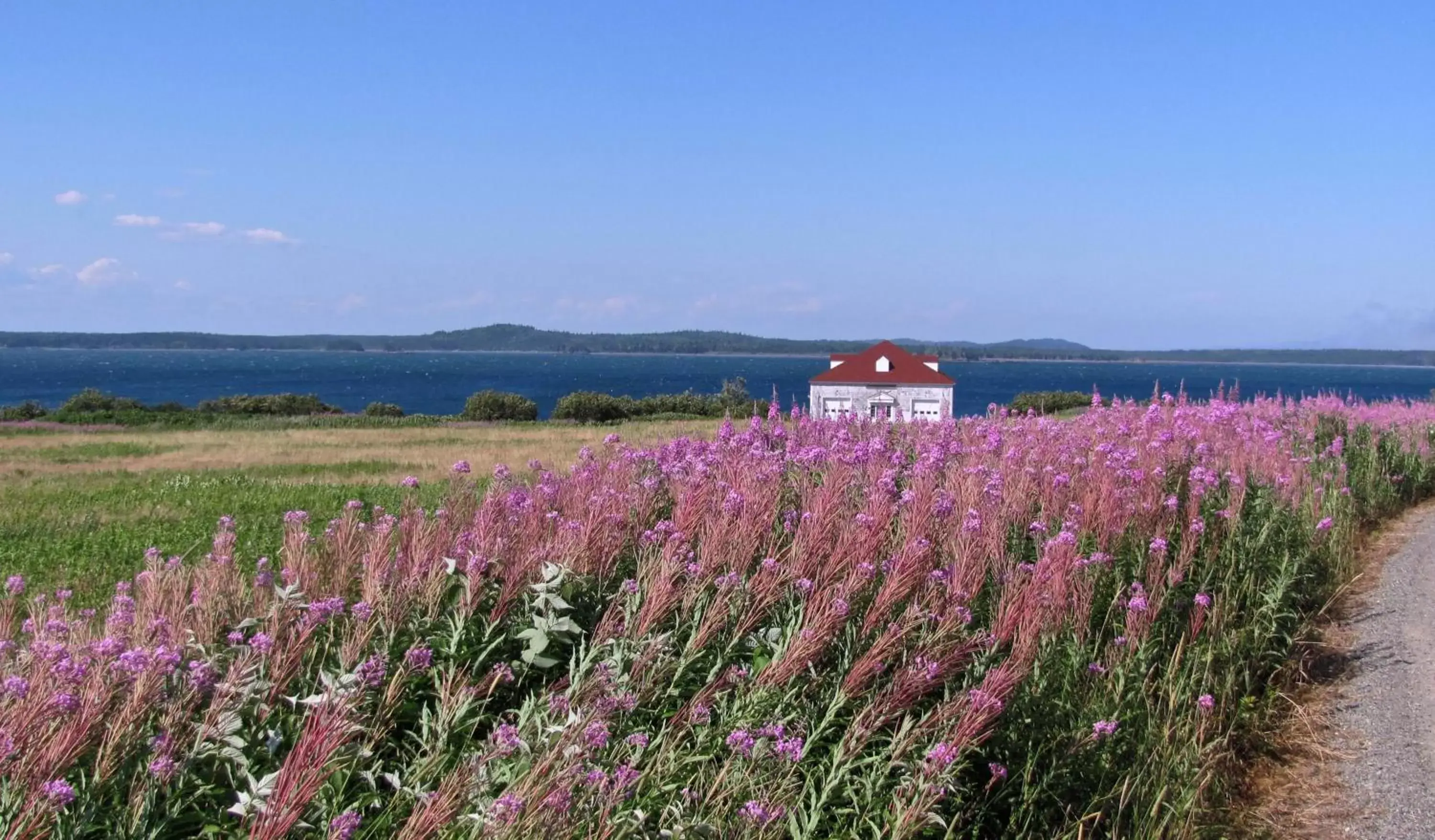 Natural landscape in West Quoddy Station LLC