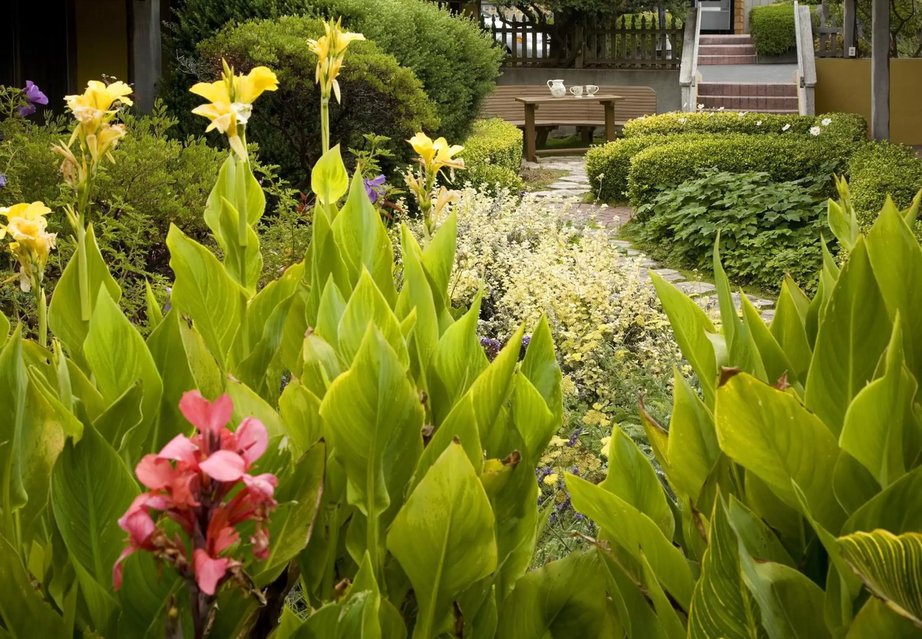 Garden in Fogcatcher Inn