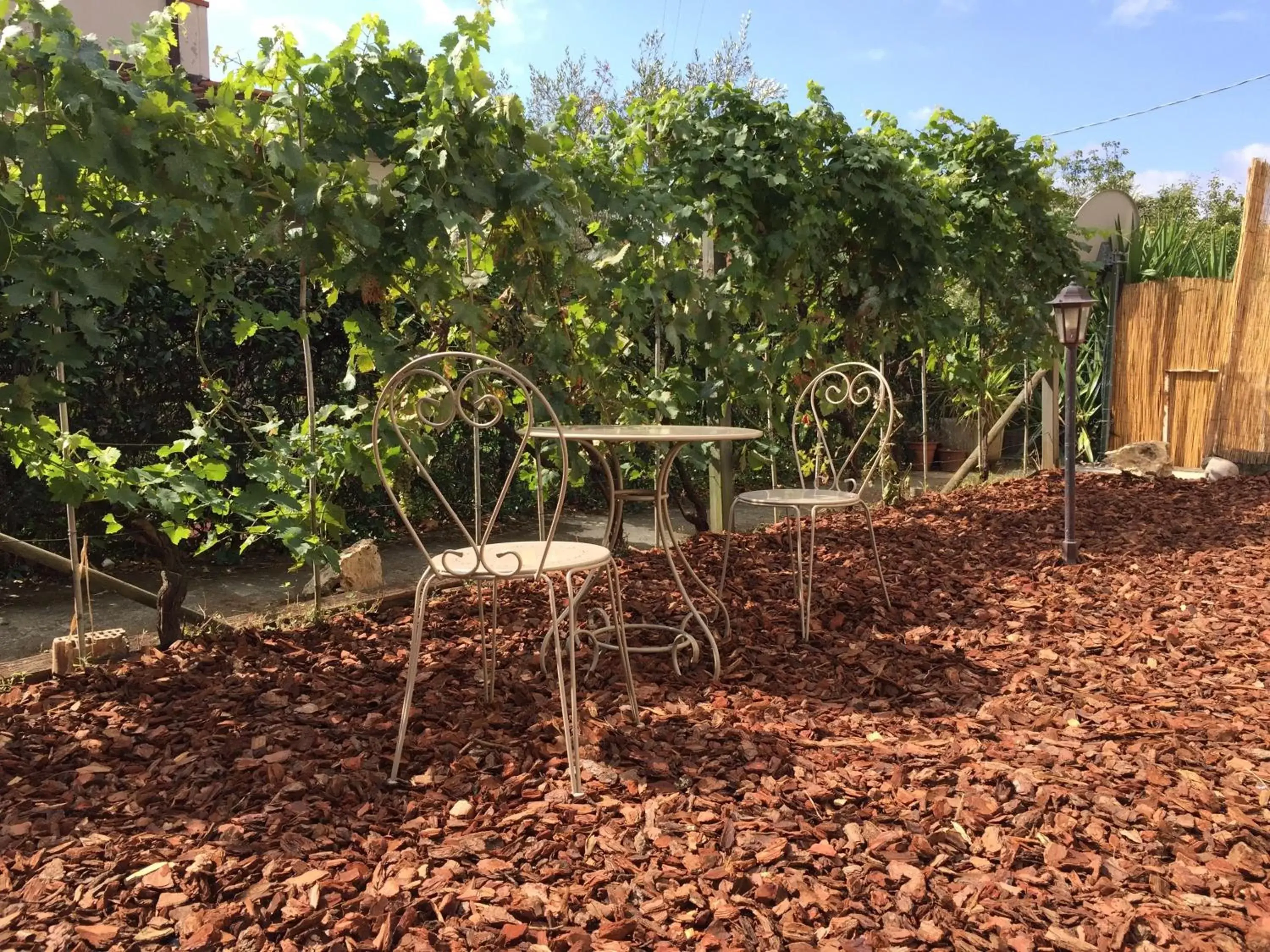 Garden in Il Casale Del Giglio