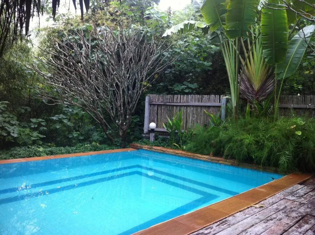 Natural landscape, Swimming Pool in Teakwood villa