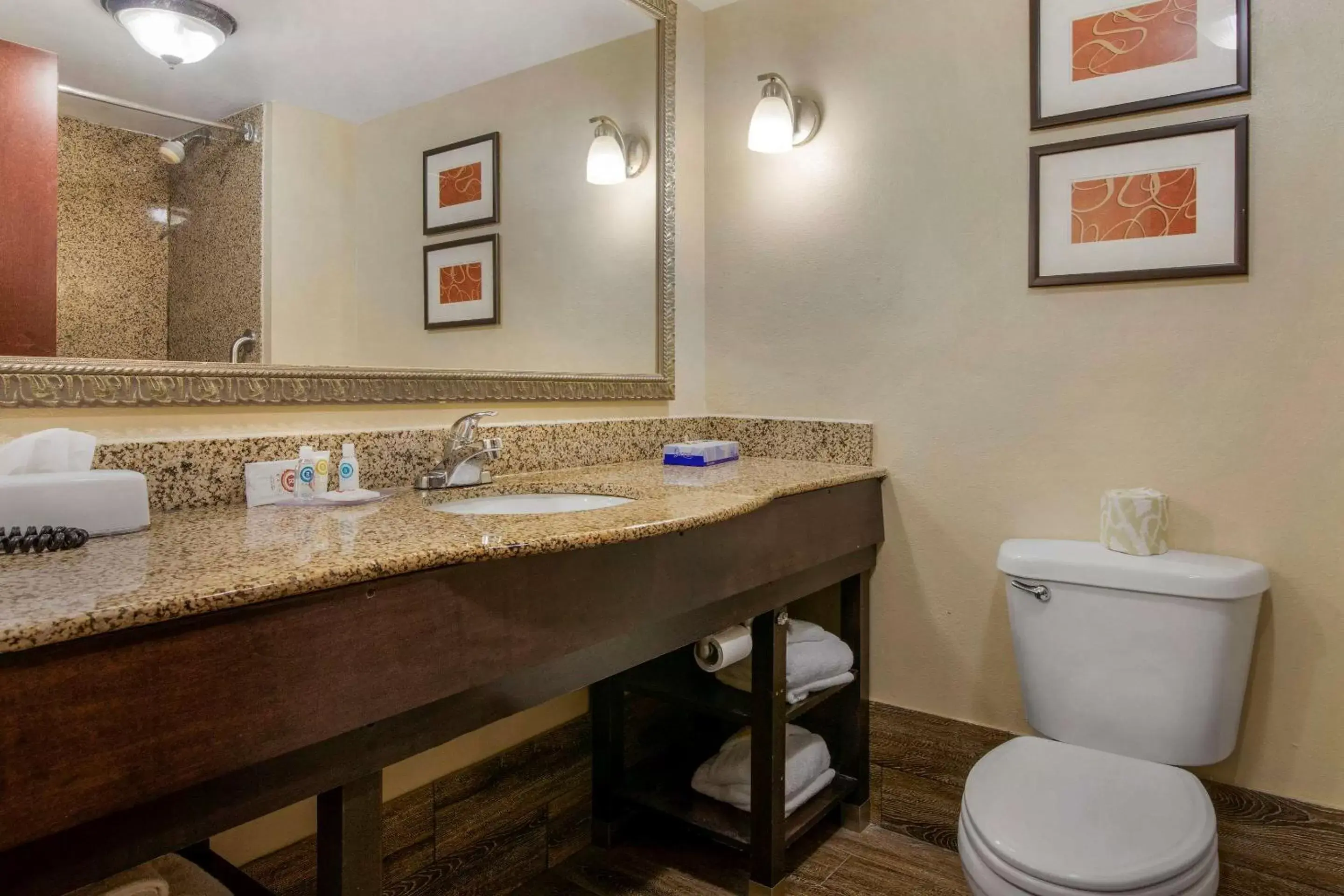 Bathroom in Comfort Suites near MCAS Beaufort