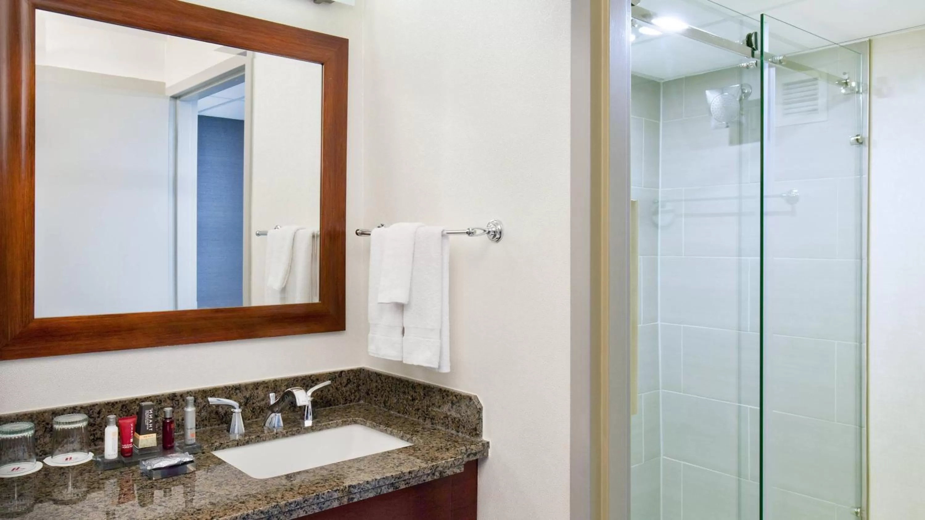 Bathroom in Marriott Park Ridge