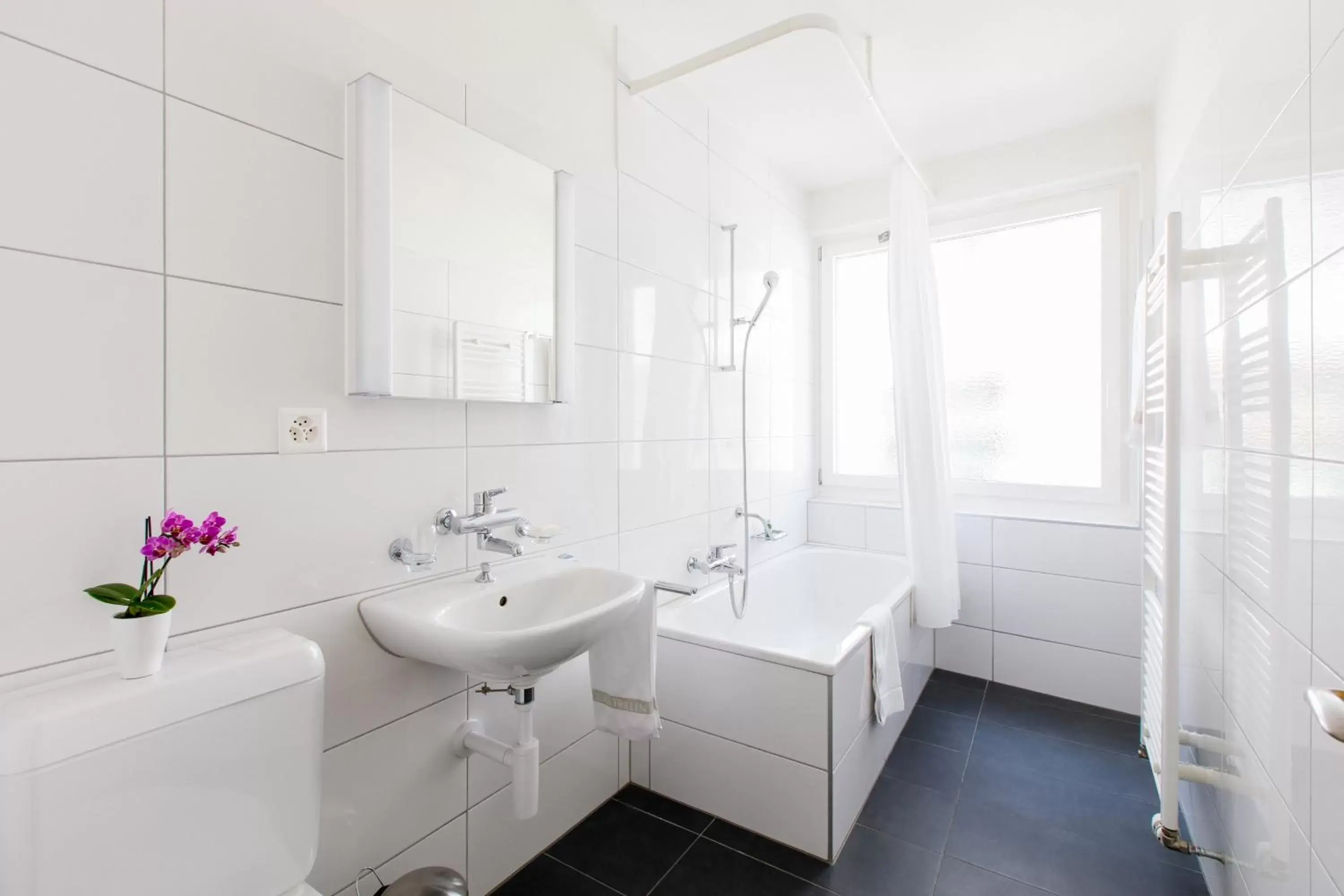 Toilet, Bathroom in Apartmenthaus zum Trillen Basel City Center