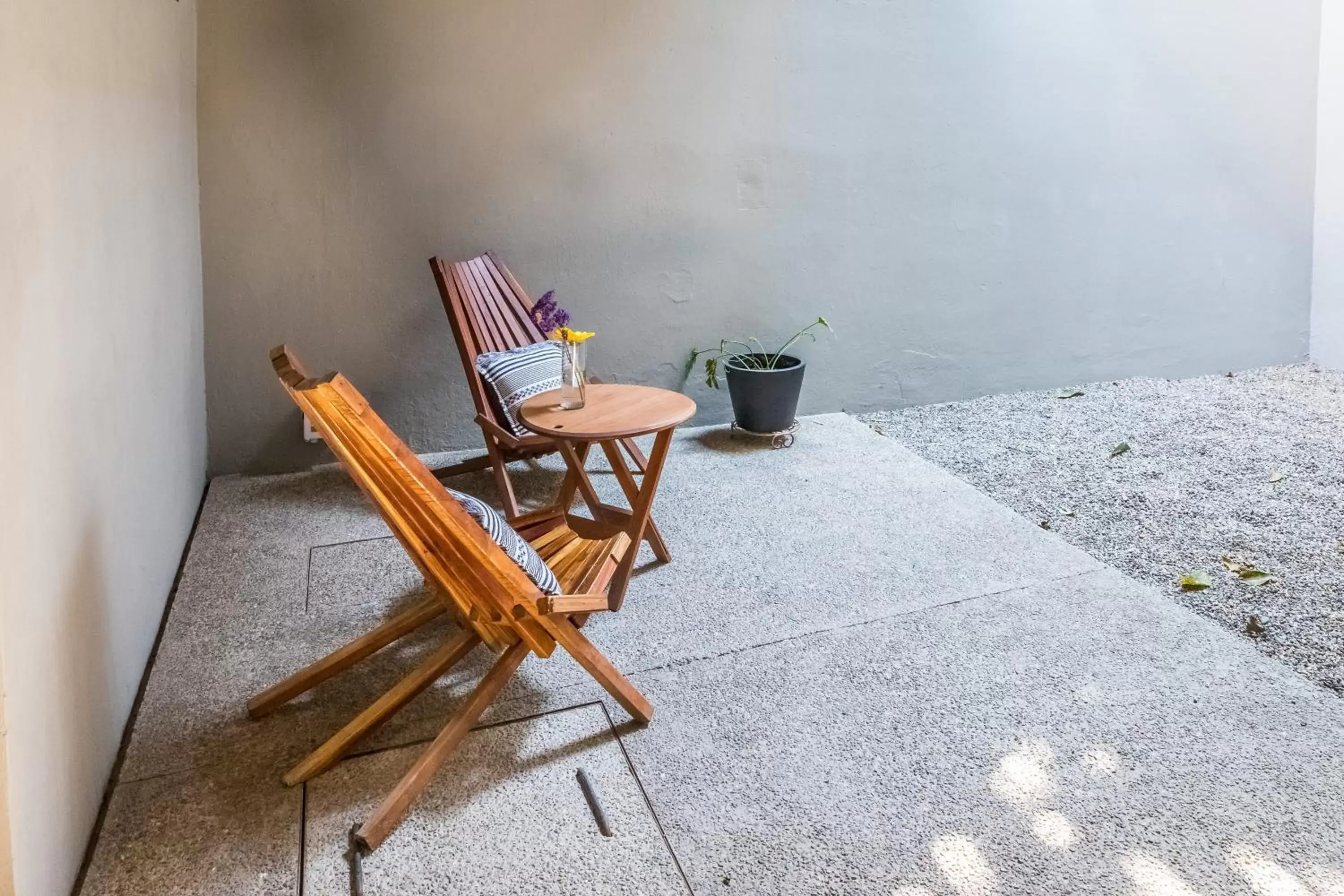 Patio in Casa Olié