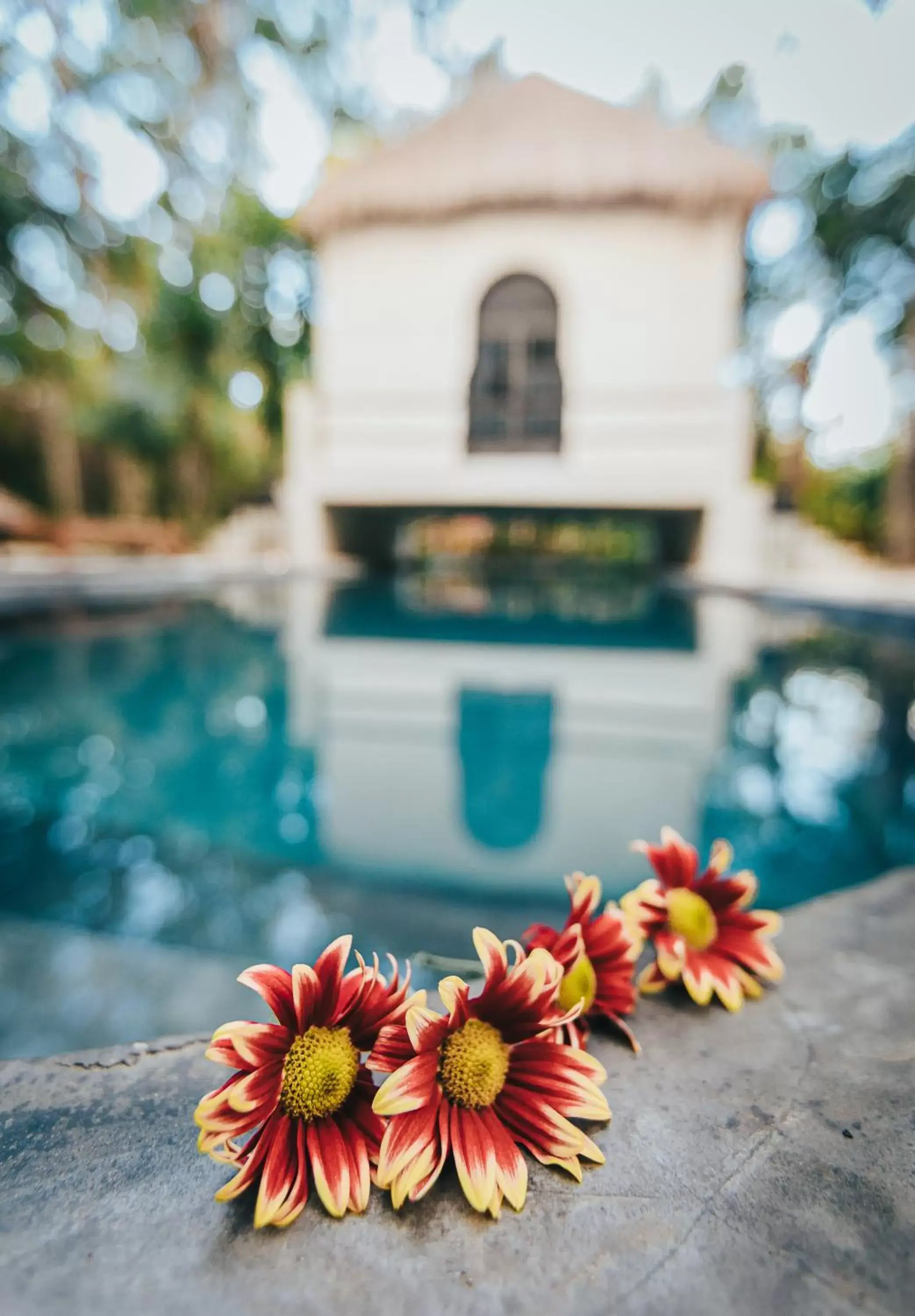 Day, Swimming Pool in Ambre & Epices Jungle Hotel & Spa