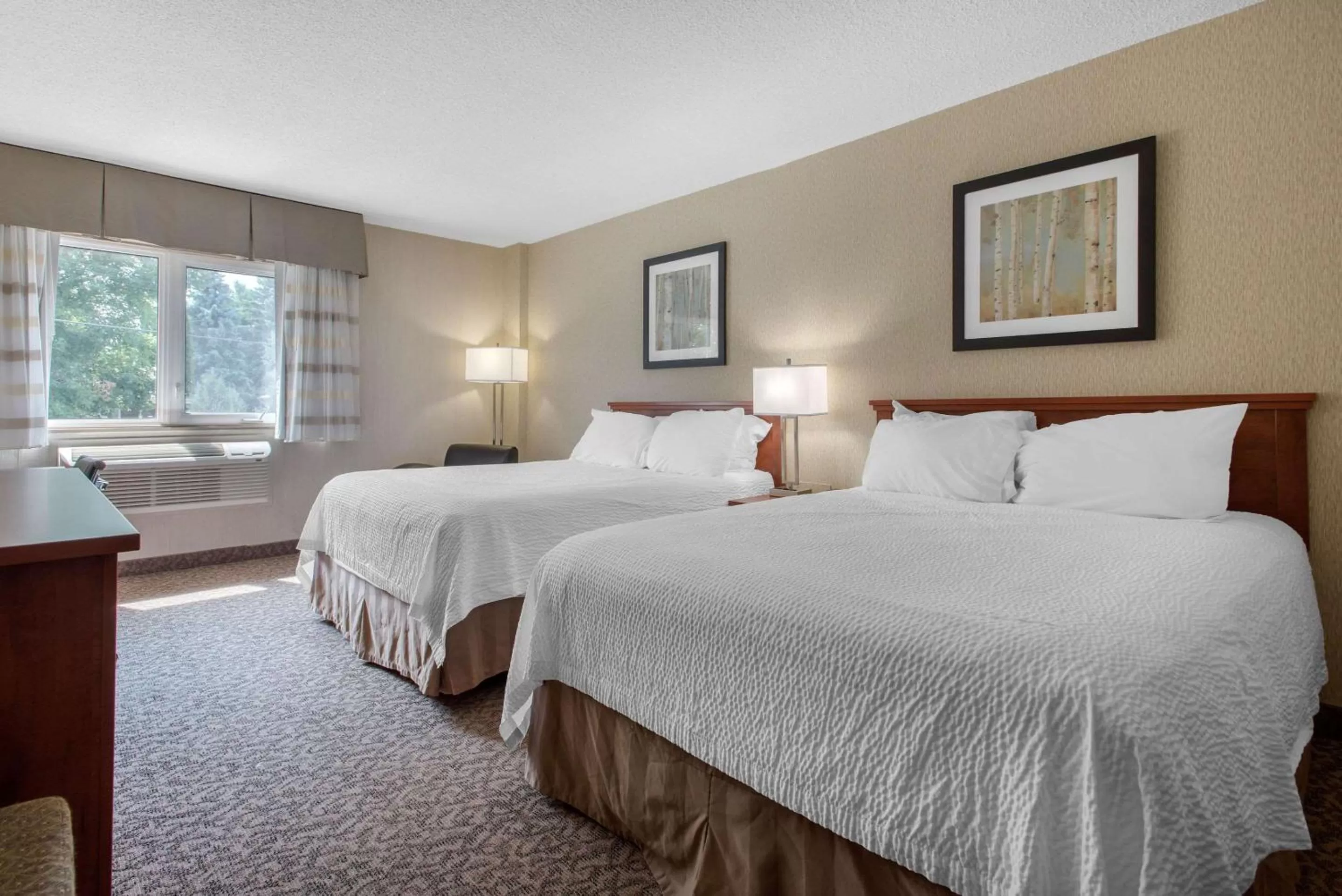 Photo of the whole room, Bed in Clarion Hotel & Suites