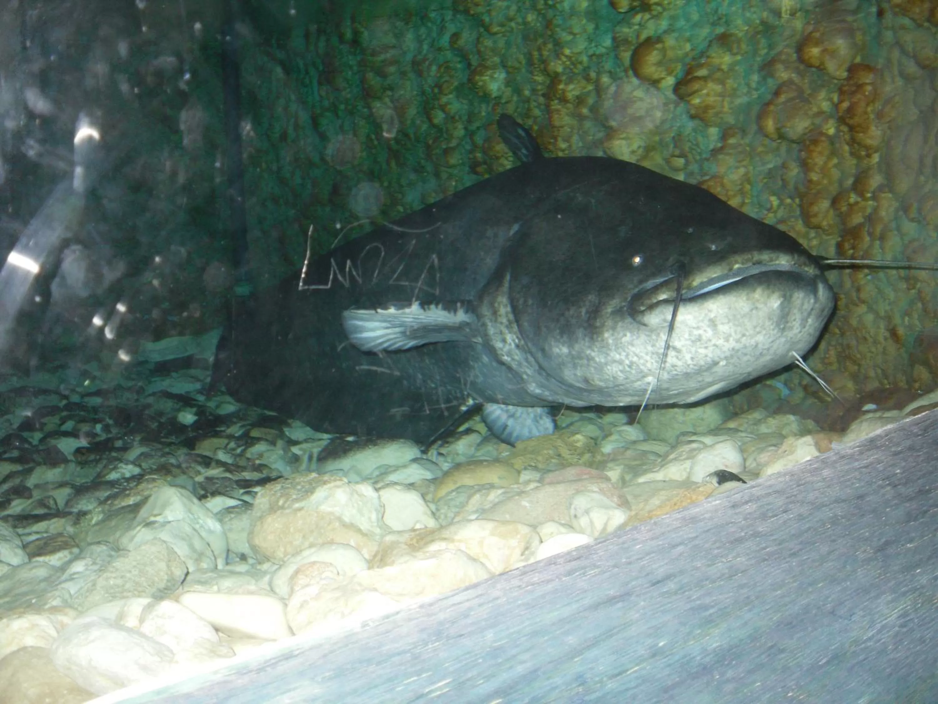 Area and facilities in Hotel Can Batiste