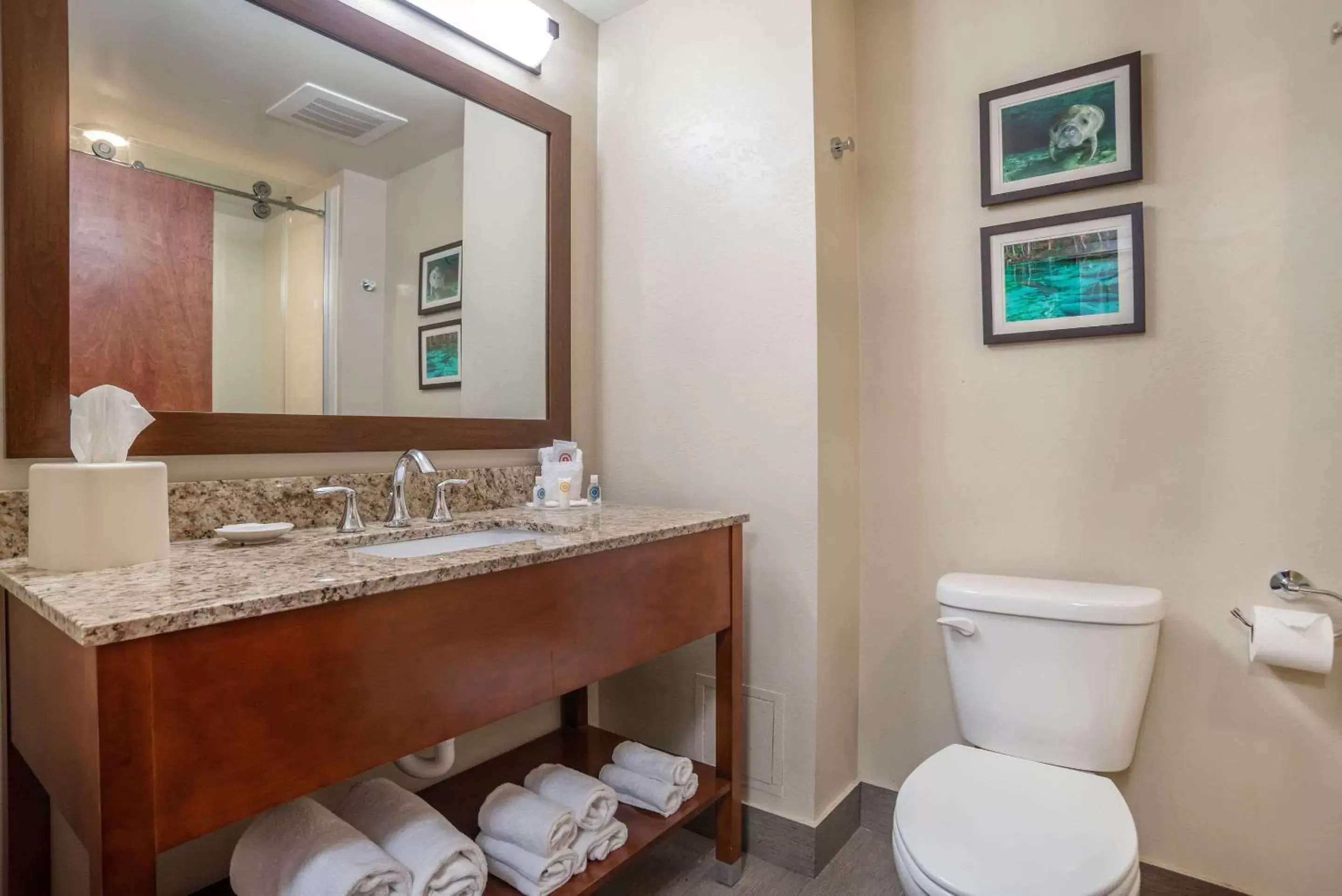 Bedroom, Bathroom in Comfort Suites Tallahassee Downtown
