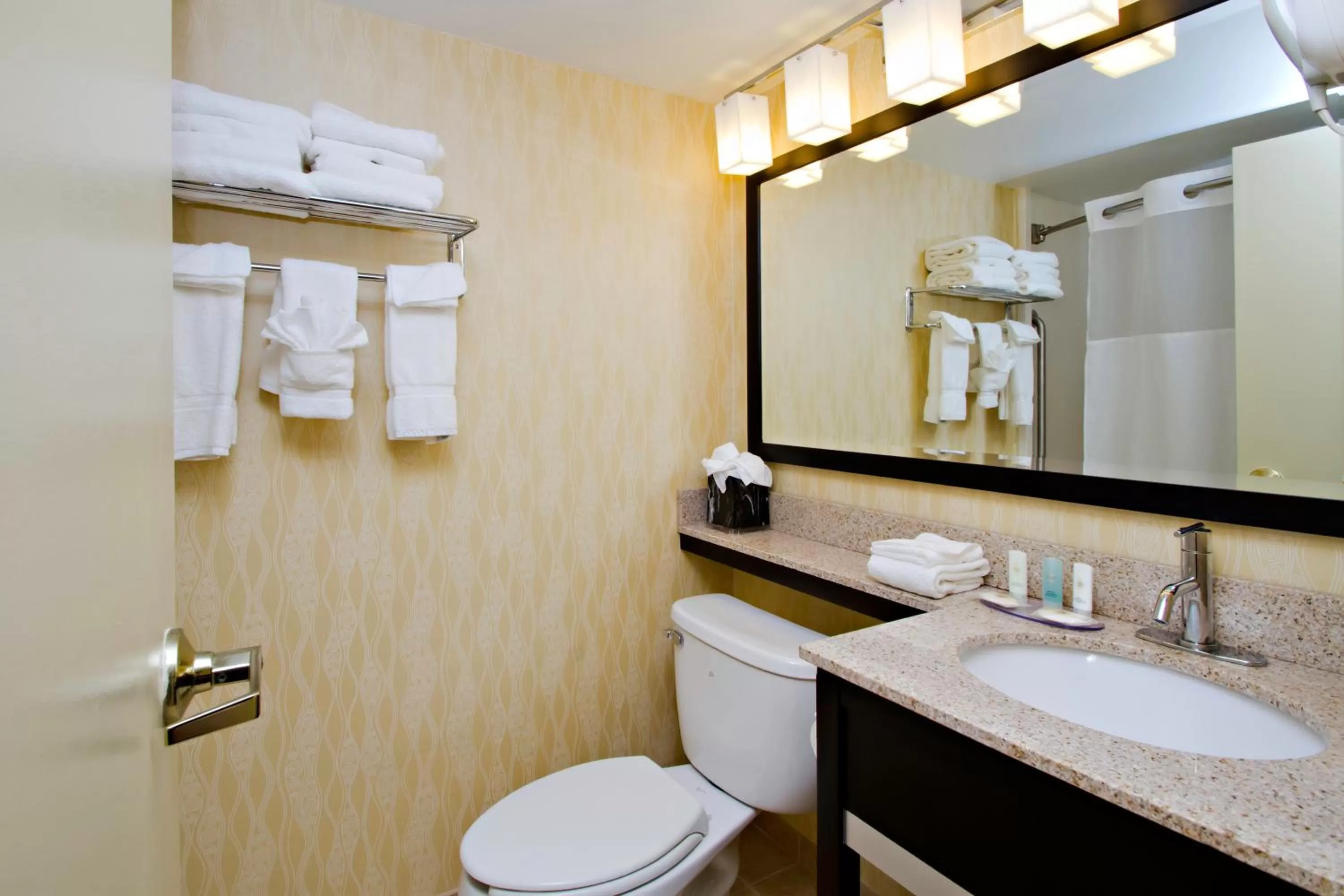 Bathroom in Baymont by Wyndham Harrisburg