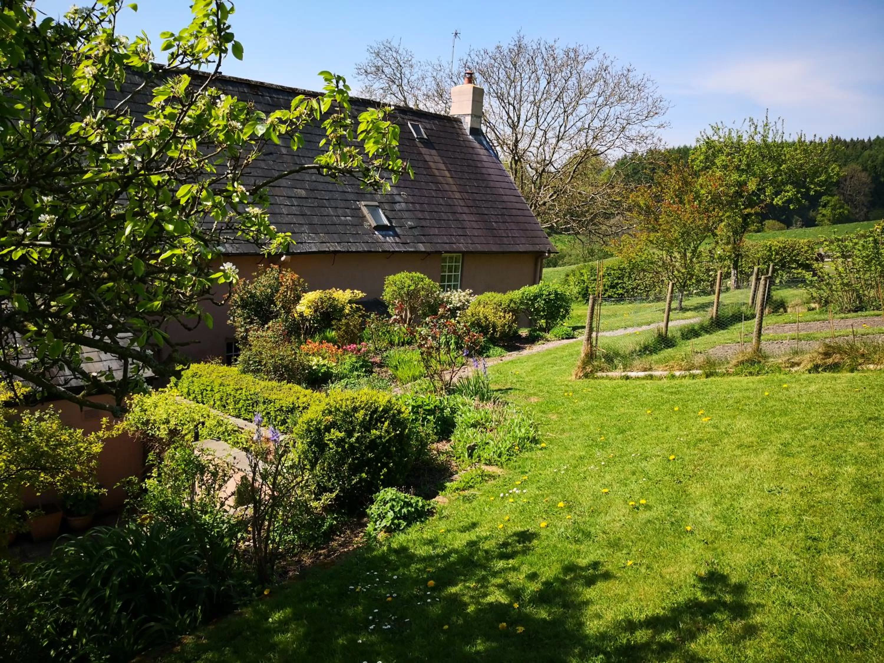 Property Building in Walnut Tree Farm