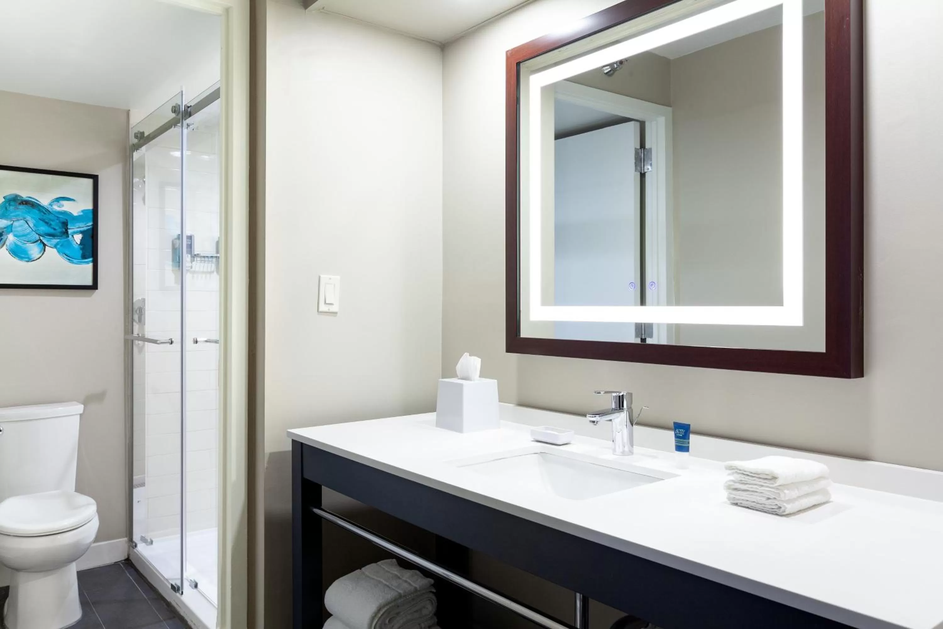 Bathroom in Four Points by Sheraton Orlando Convention Center