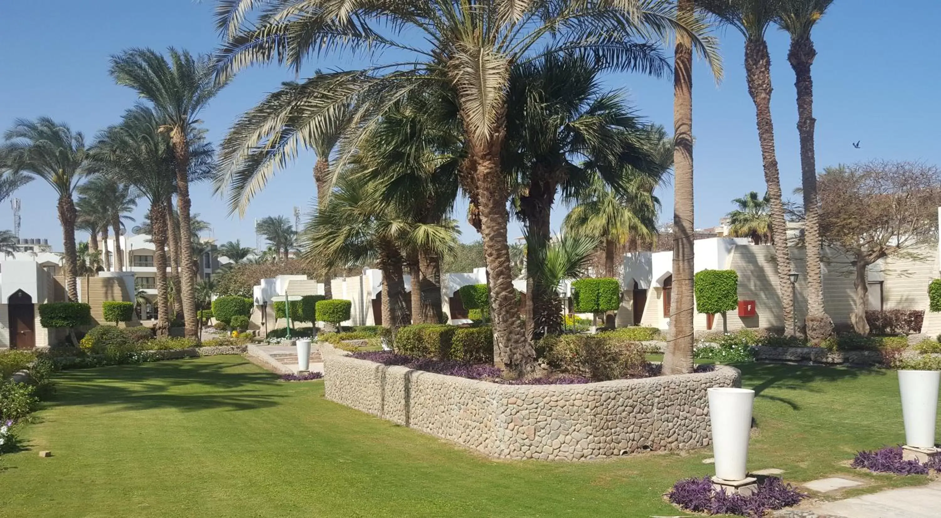 Property building, Garden in ZYA Regina Resort and Aqua Park Hurghada