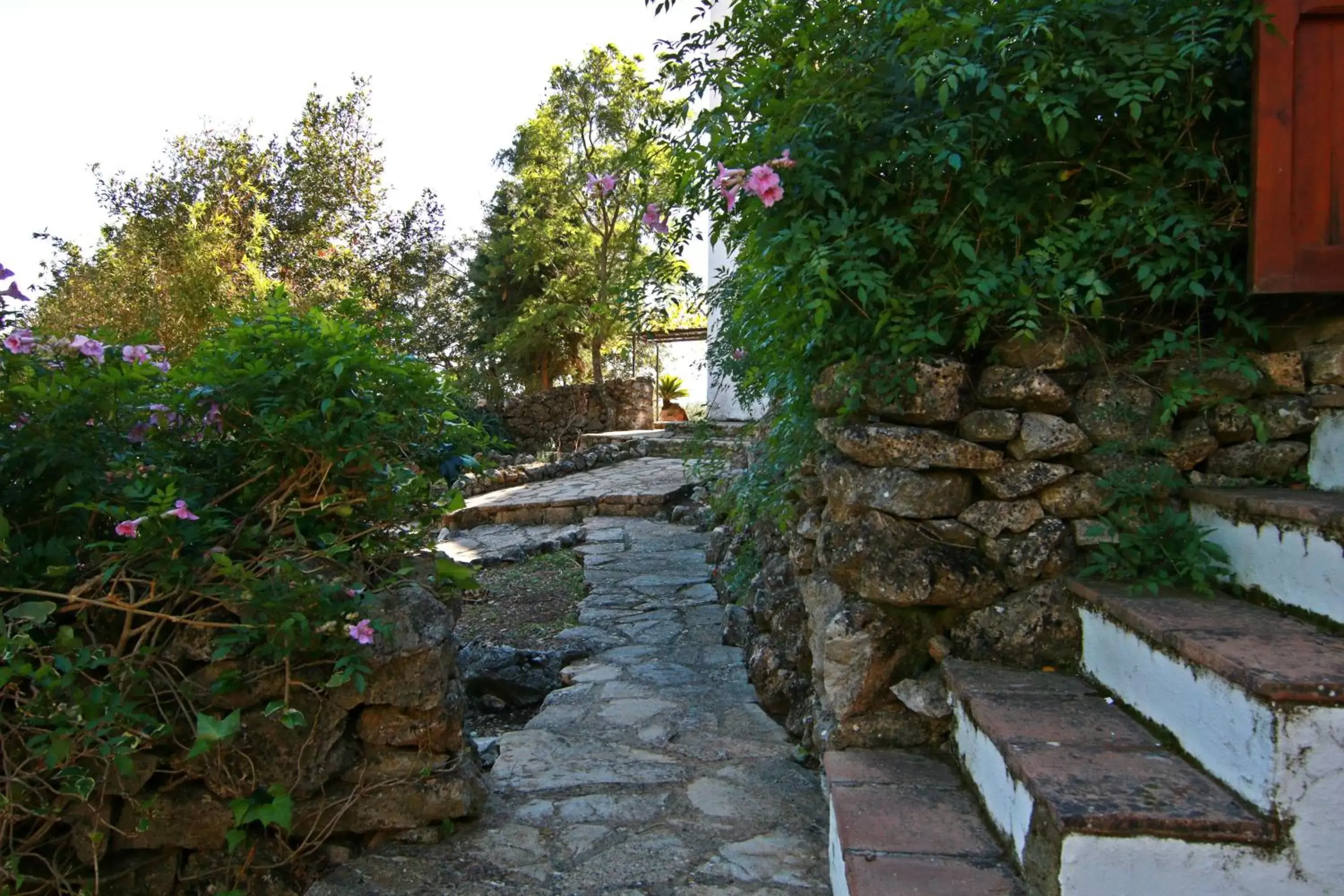 Garden in Casas Rurales Los Algarrobales