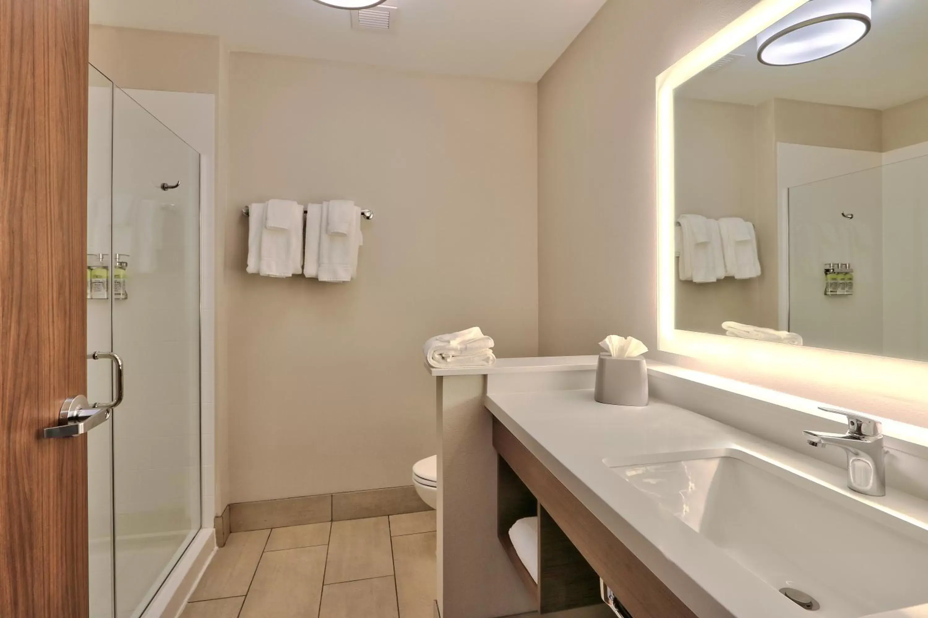 Bathroom in Holiday Inn Express & Suites - Albuquerque East, an IHG Hotel